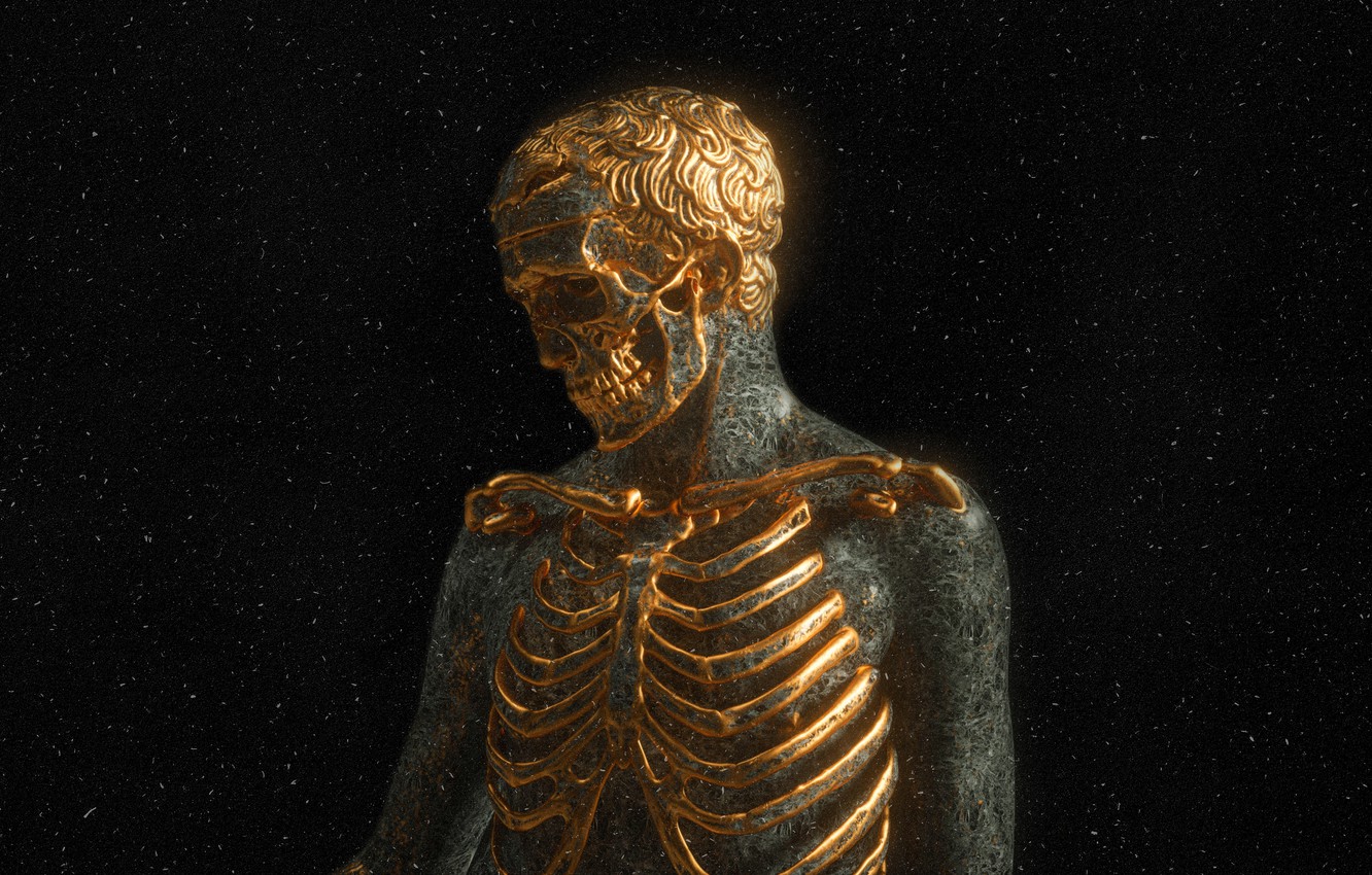 Free download Wallpaper darkness skull teeth bones skeleton gold gold [1332x850] for your Desktop, Mobile & Tablet. Explore Human Skeleton Wallpaper. Skeleton Wallpaper, Skeleton Wallpaper, Human Wallpaper