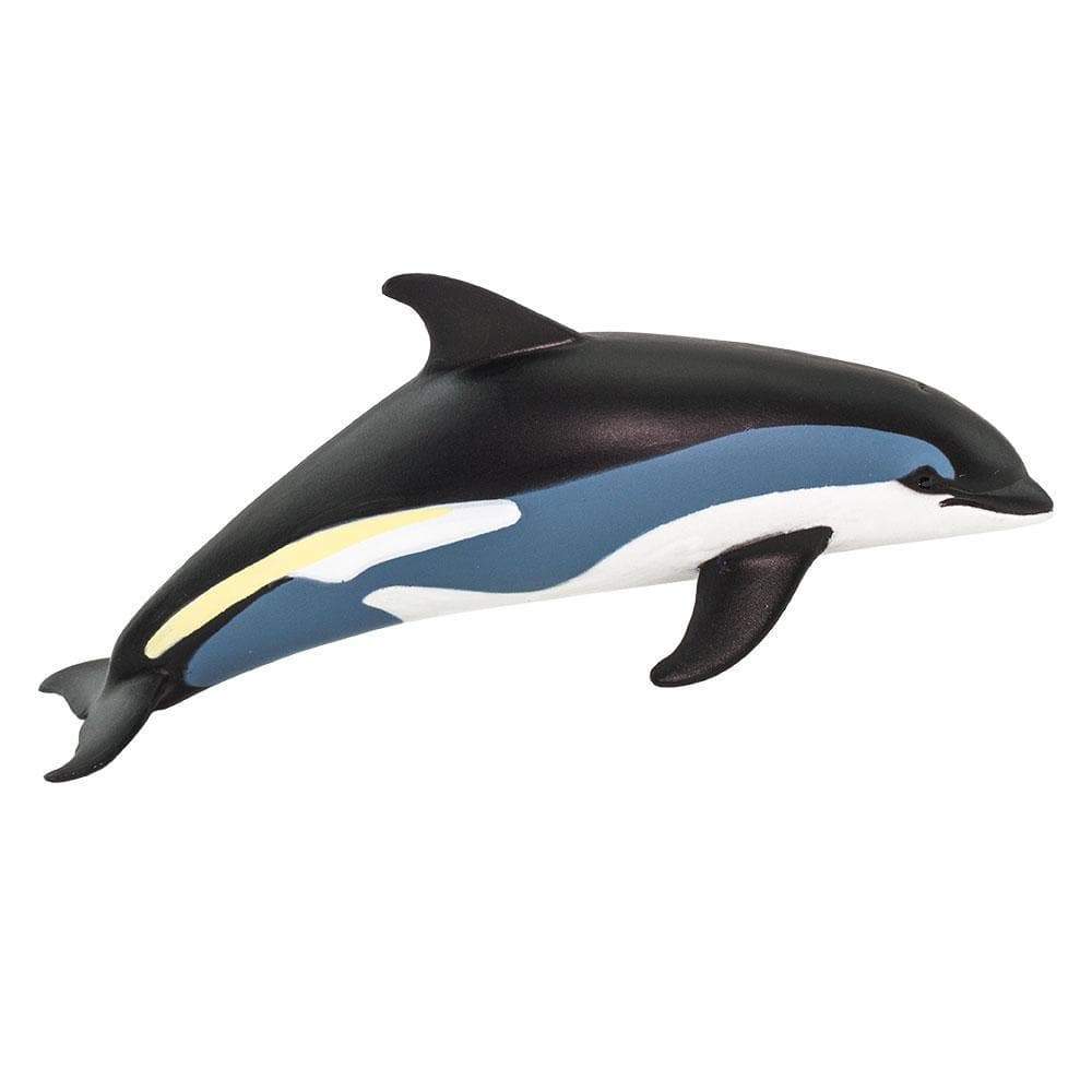 Atlantic White Sided Dolphin Toy. Sea Life. Safari Ltd®