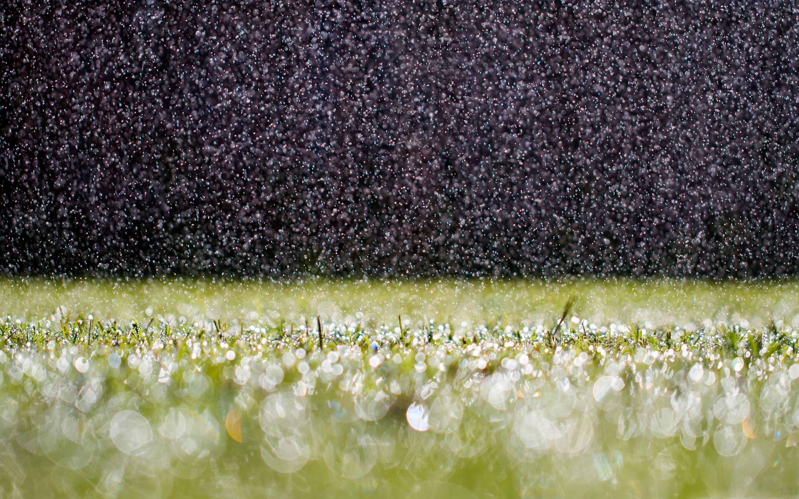 Best Summer Mac Wallpaper Free HD Download