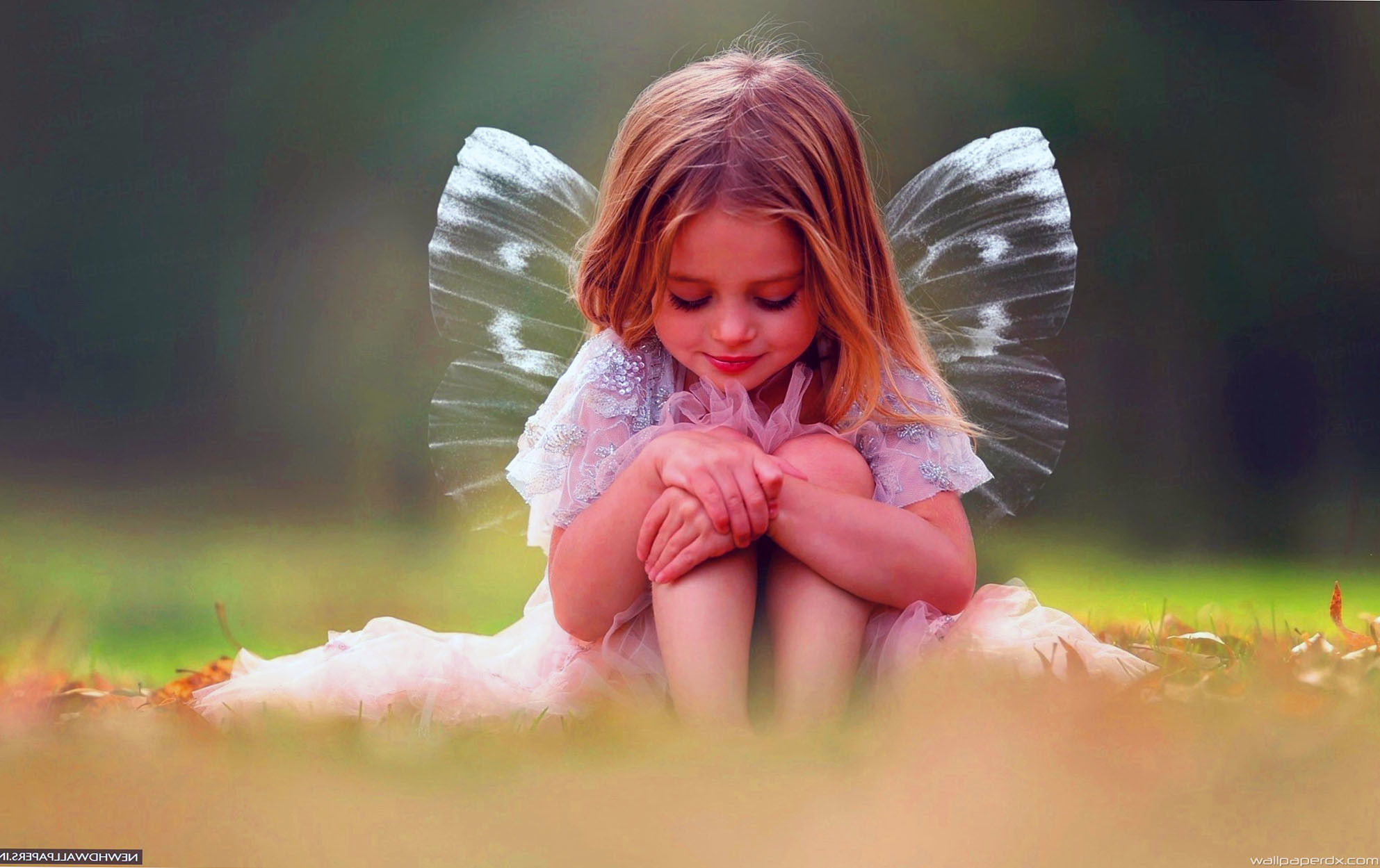 Elegant Beautiful Fairies With Wings Wallpaper For Cute Fairy