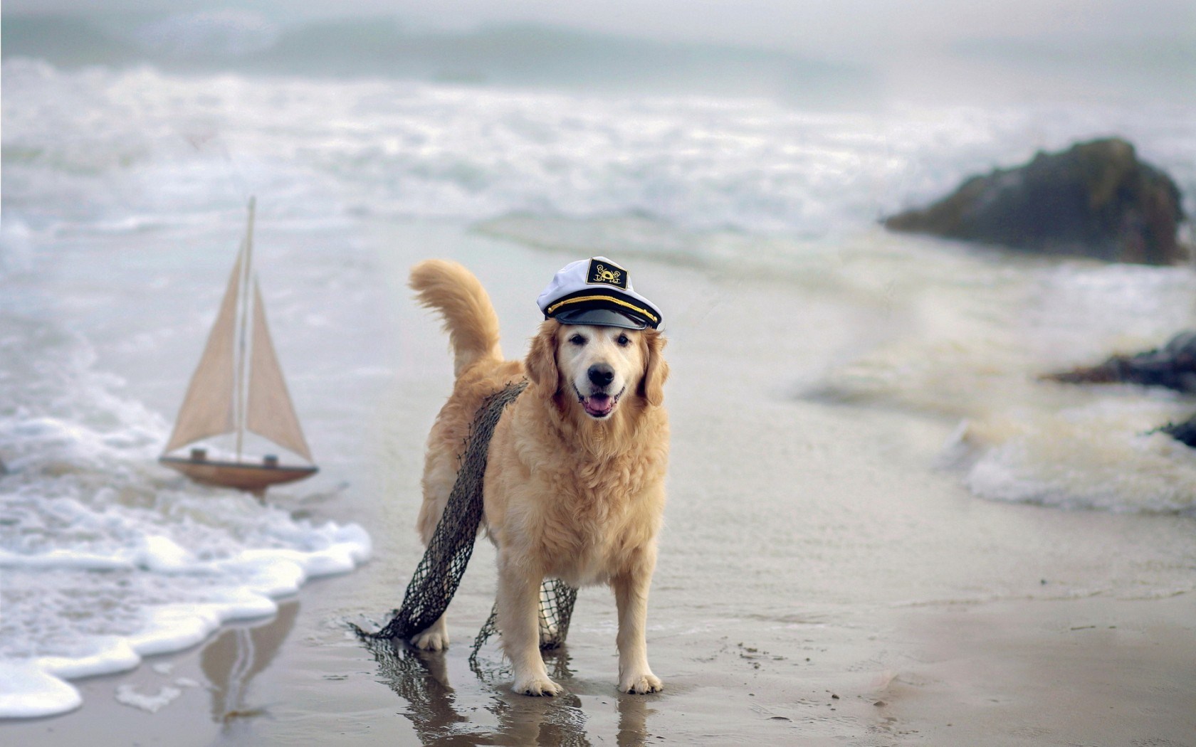 Dog Sea Ship Beach wallpaperx1050