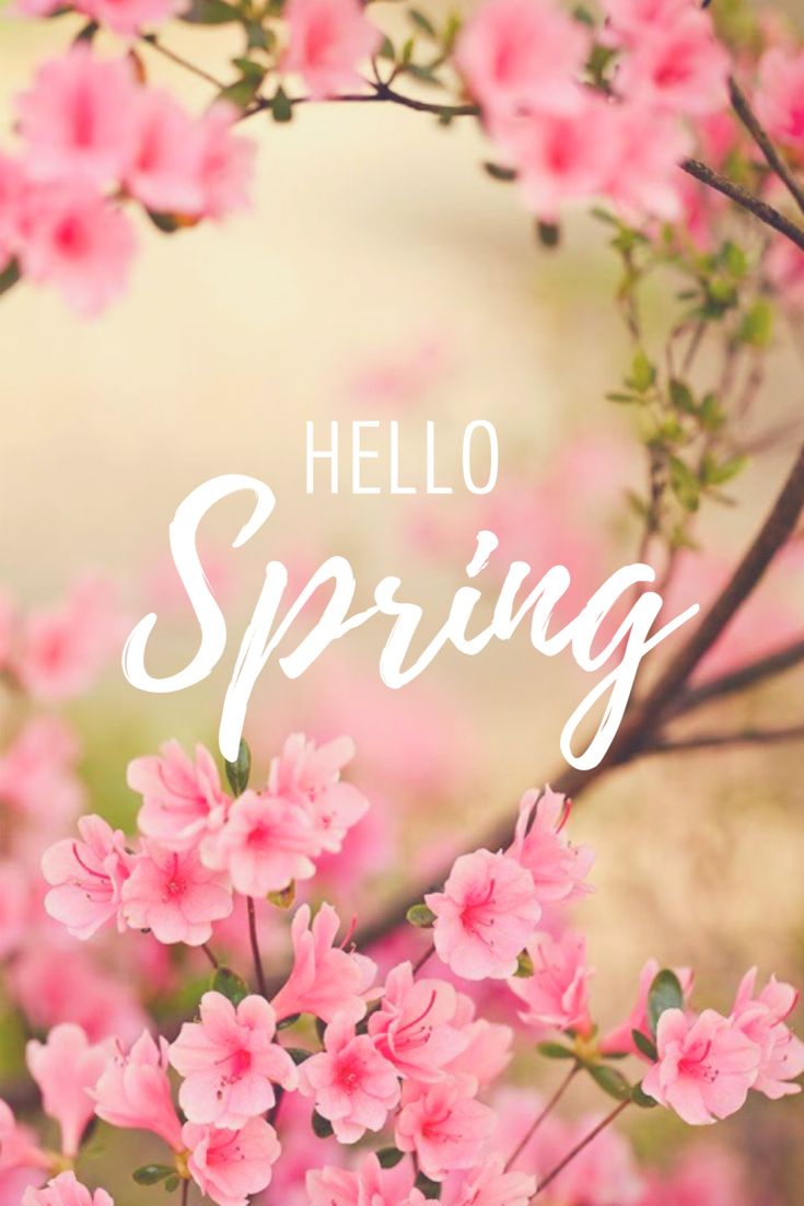 Hello Spring! Phone Wallpaper Desktop Decal