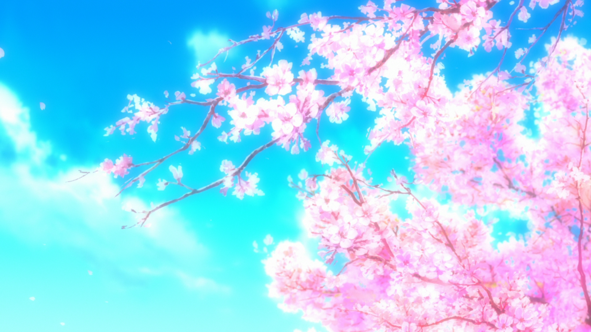 Anime landscape spring cherry blossom sakura bloom trees path Anime  HD wallpaper  Peakpx