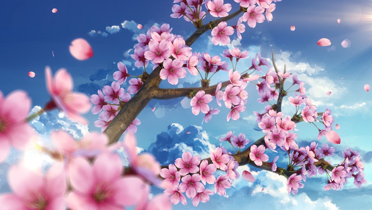 Anime Wallpaper 2000x1126 cherry blossoms, clouds, flowers, nobody, original, petals, sky, waifu2x, yuu knm. Cherry blossom wallpaper, Destop wallpaper, Wallpaper