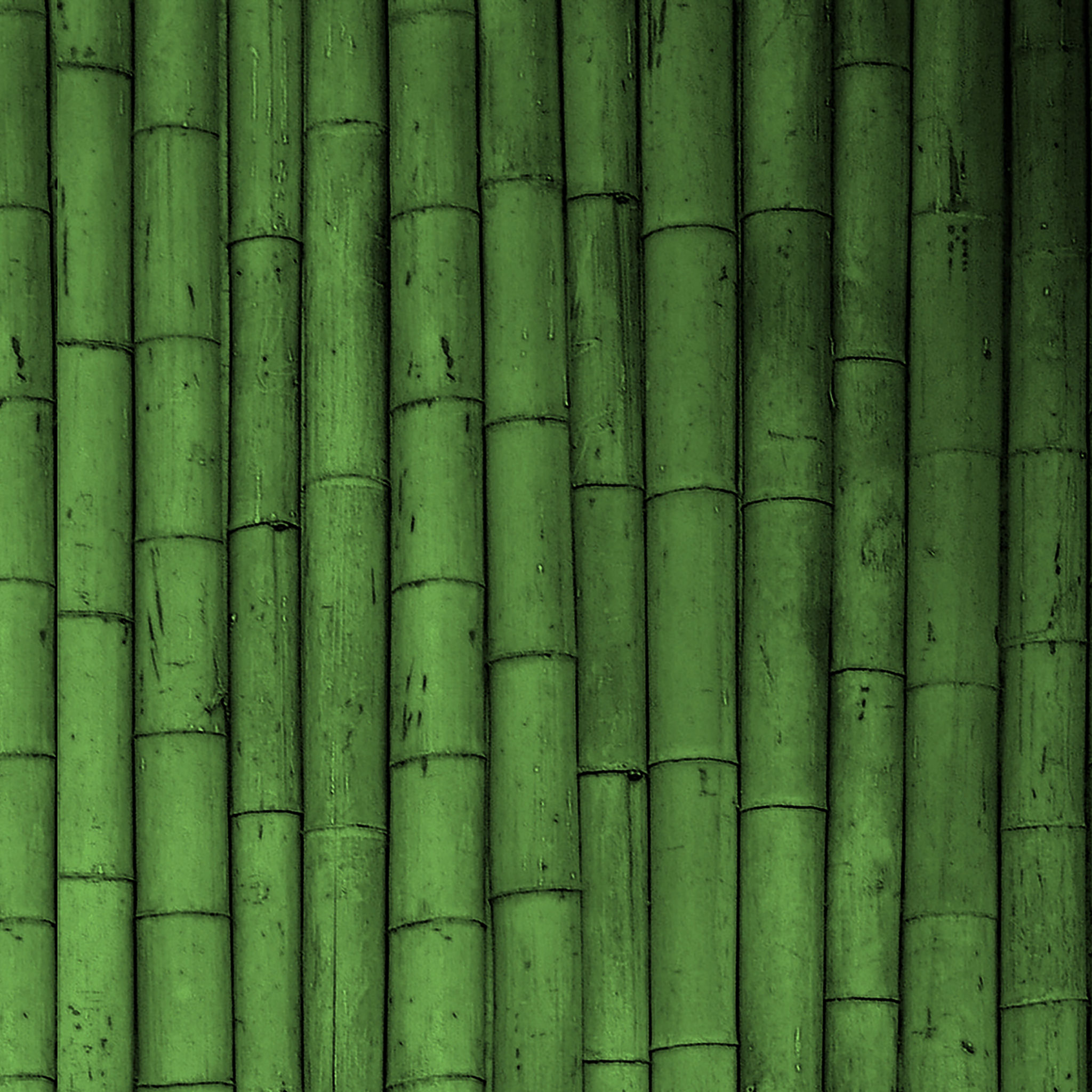 Зеленый фон бамбук