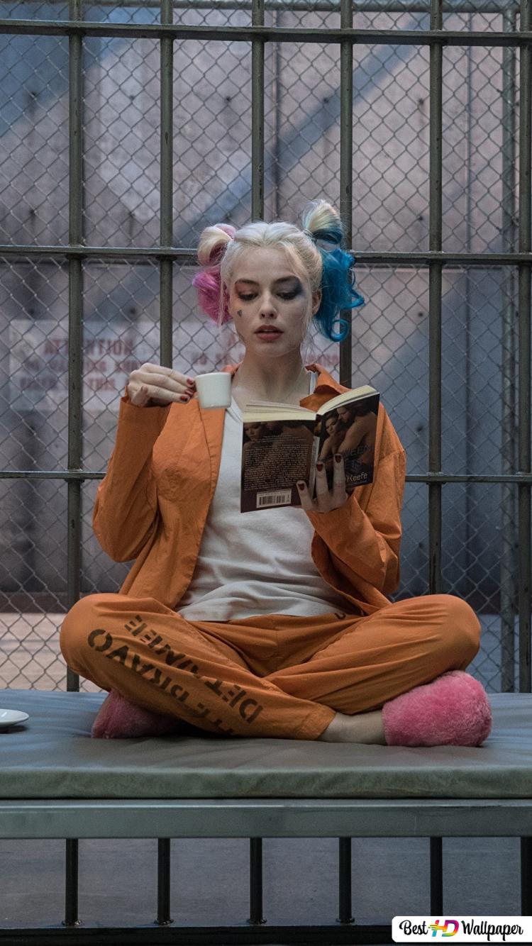 Harley Quinn In Prison Wallpapers - Wallpaper Cave