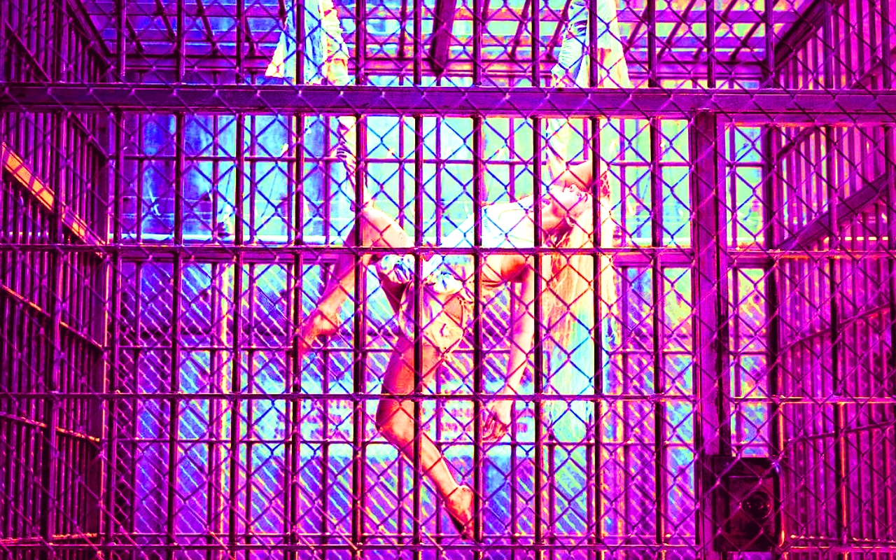 Harley Quinn Squad Wallpaper