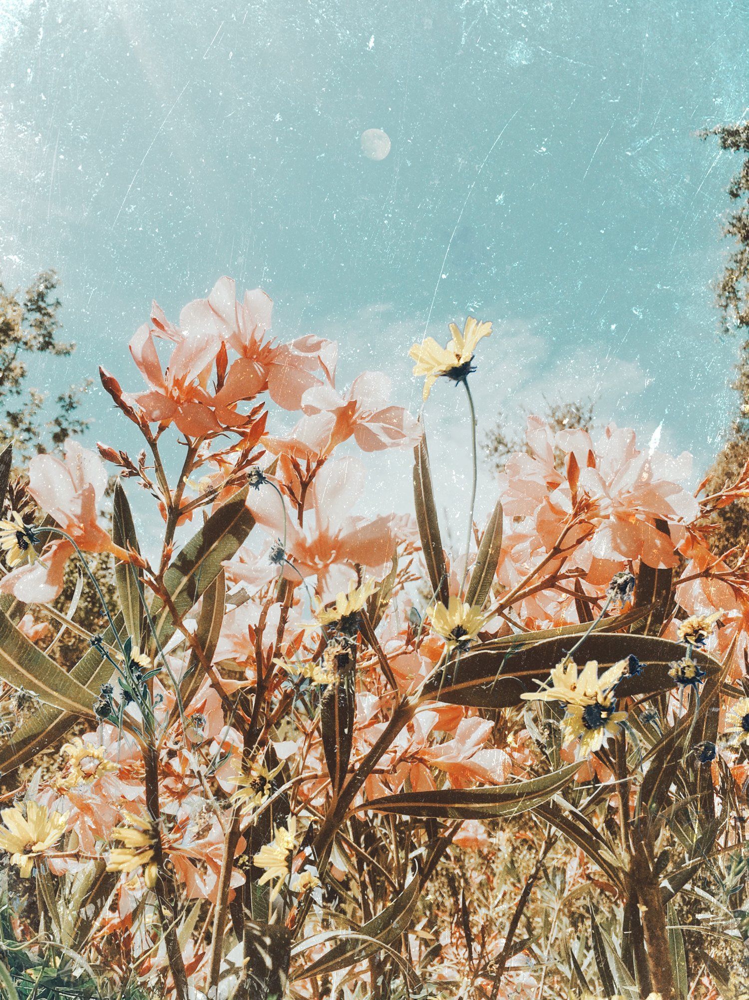 Free download Spring Aesthetic Wallpaper Top Spring Aesthetic [1500x2001] for your Desktop, Mobile & Tablet. Explore Aesthetic Spring Wallpaper. Aesthetic Wallpaper, Aesthetic Wallpaper, Cute Aesthetic Wallpaper