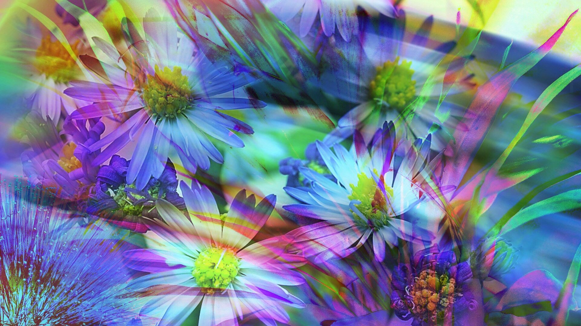 Spring Flowers Abstract Laptop Full HD 1080P HD 4k Wallpaper, Image, Background, Photo and Picture