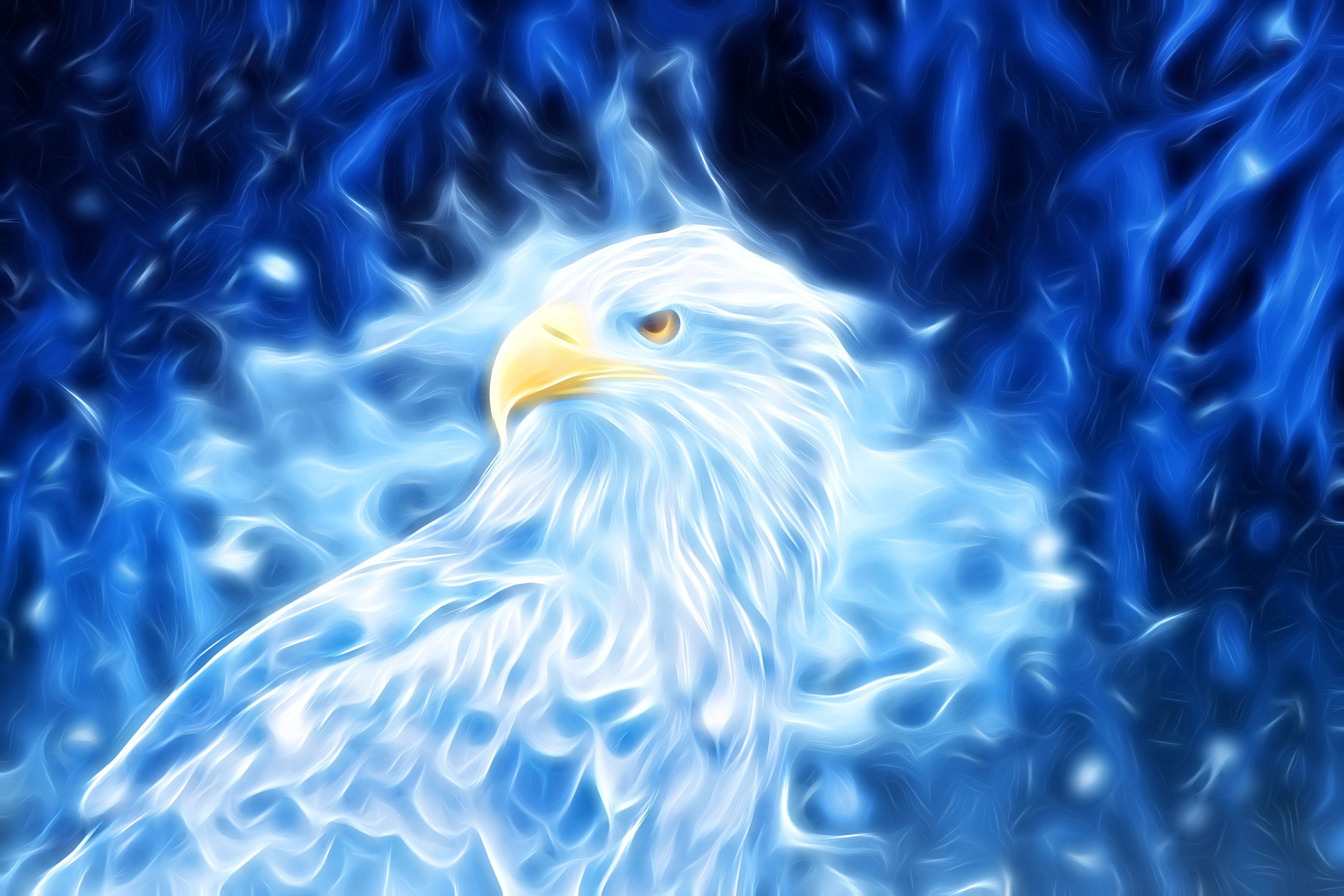 Blue Artistic Eagle by ractapopulous HD Wallpaper