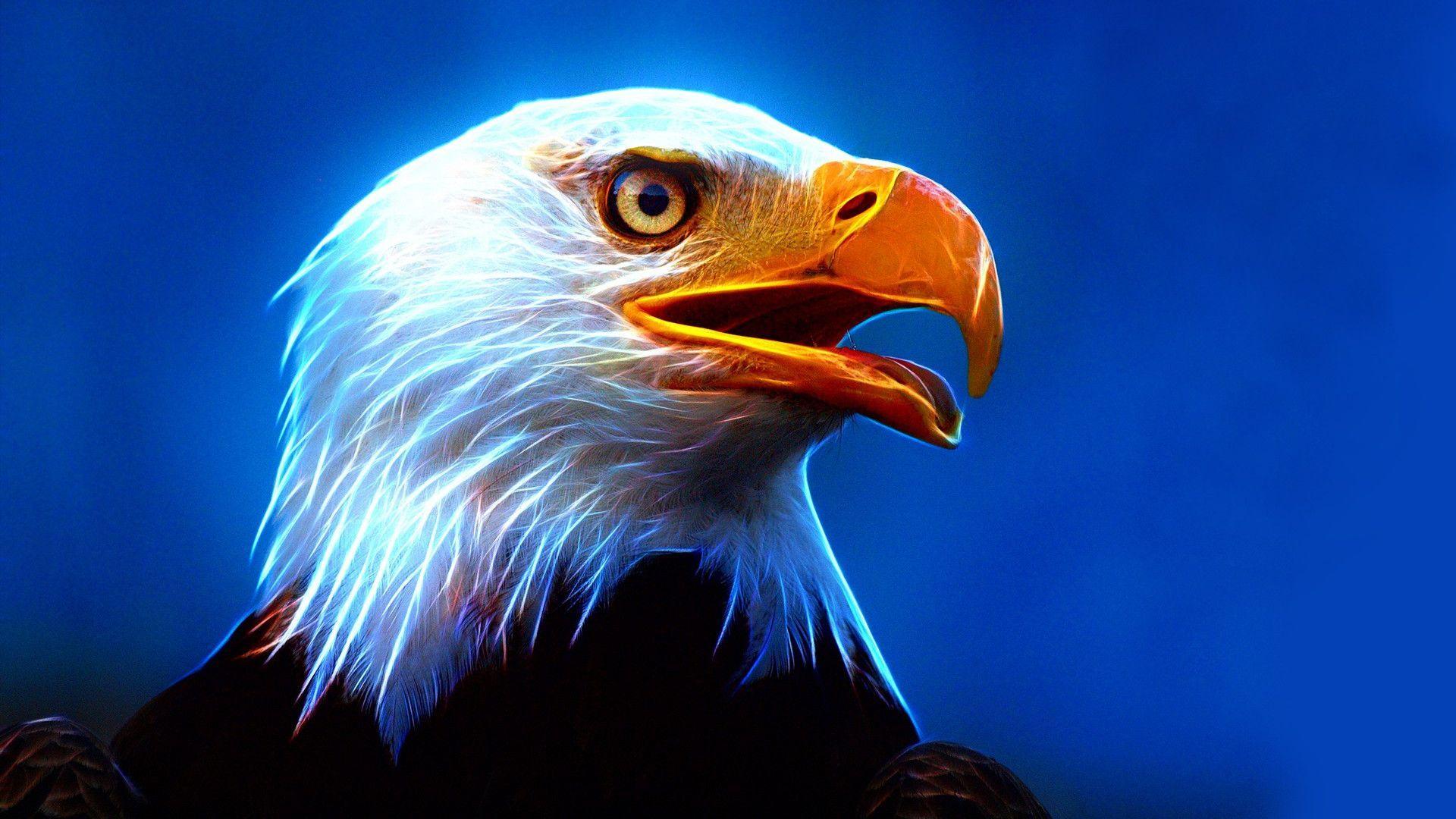 Bald Eagle. Wildlife Wallpaper pour Androidéléchargez l'APK