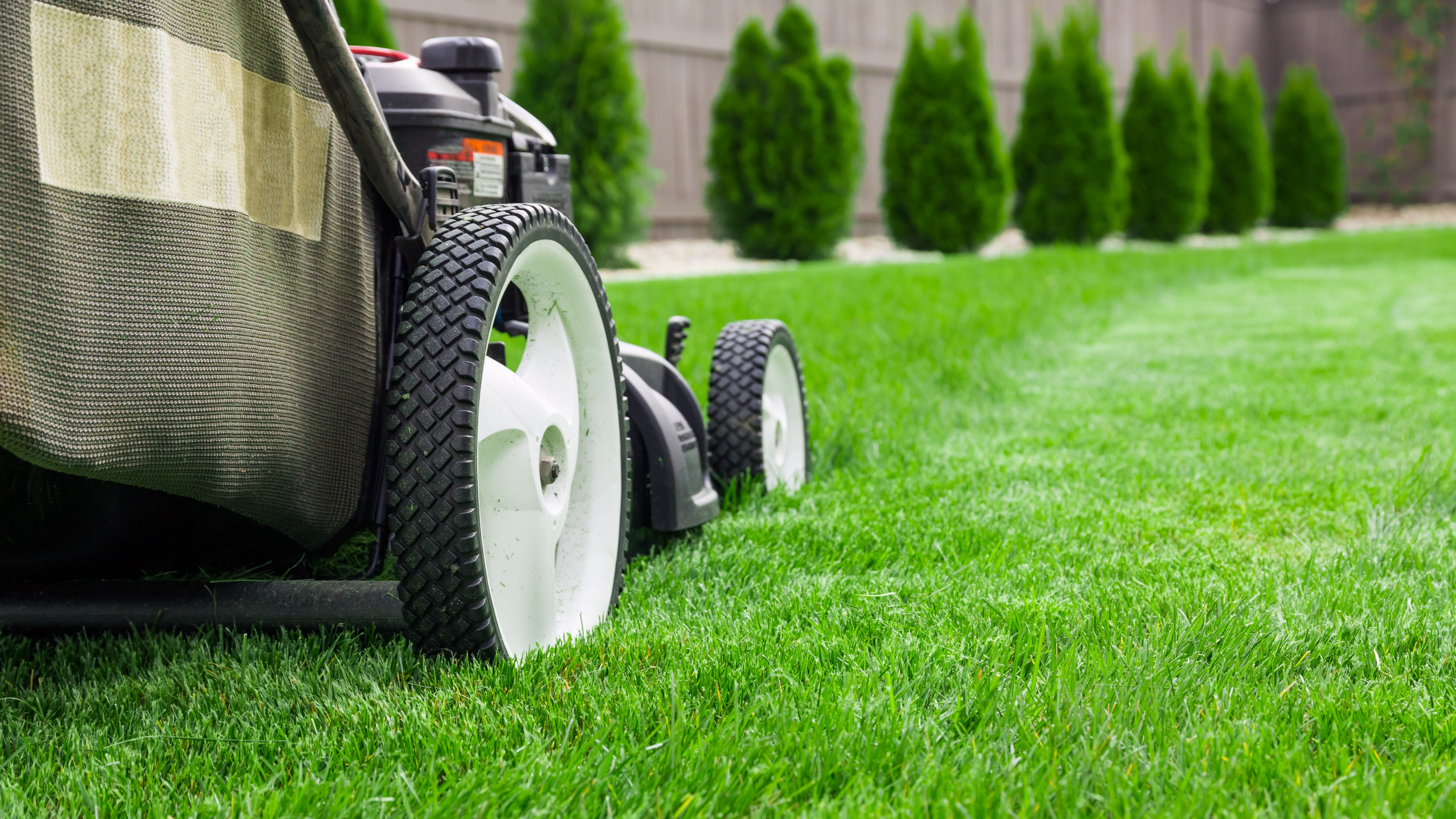 It's National Lawn Care Month