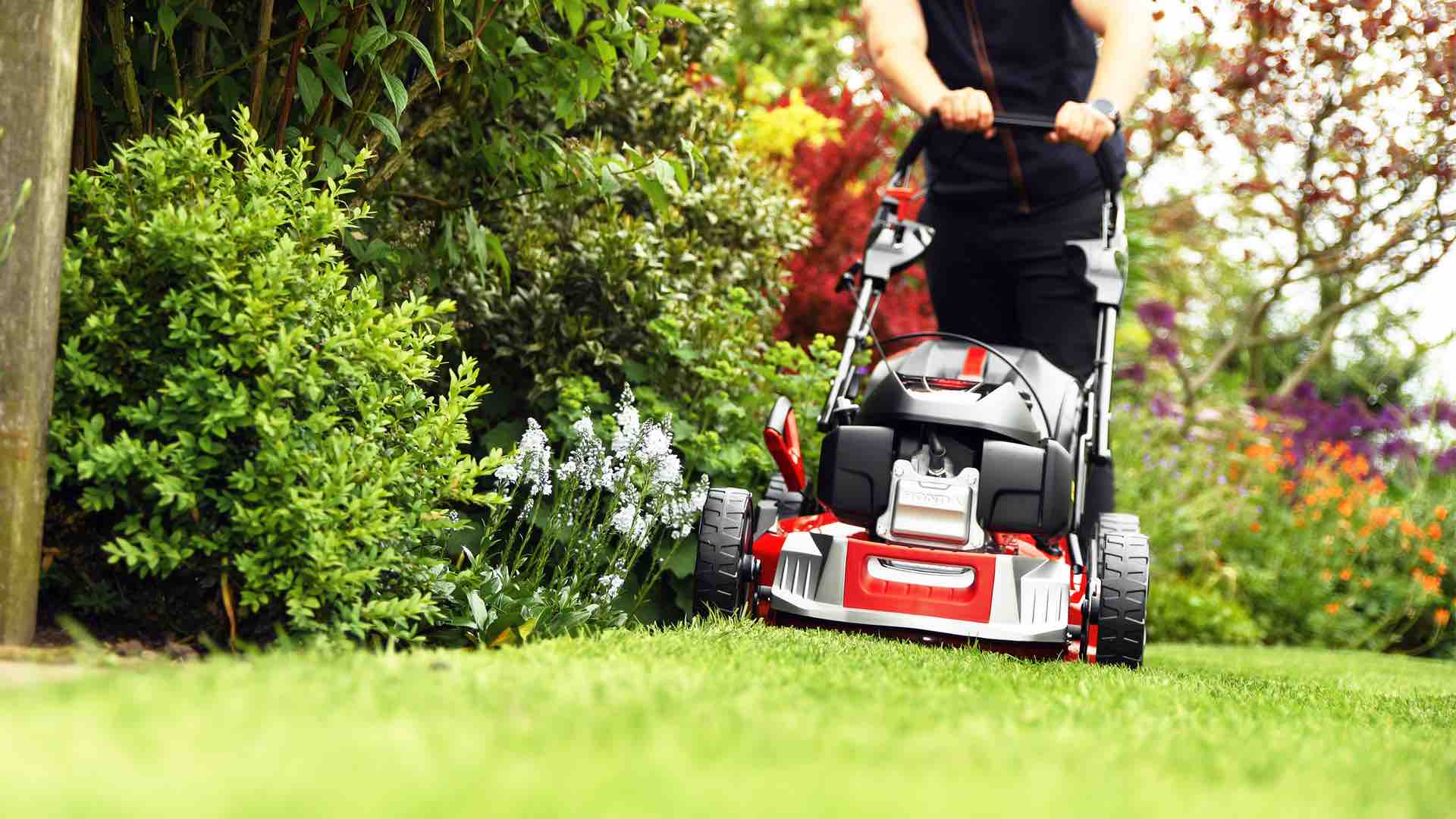 California to ban petrol garden equipment like lawn mowers and leaf blowers