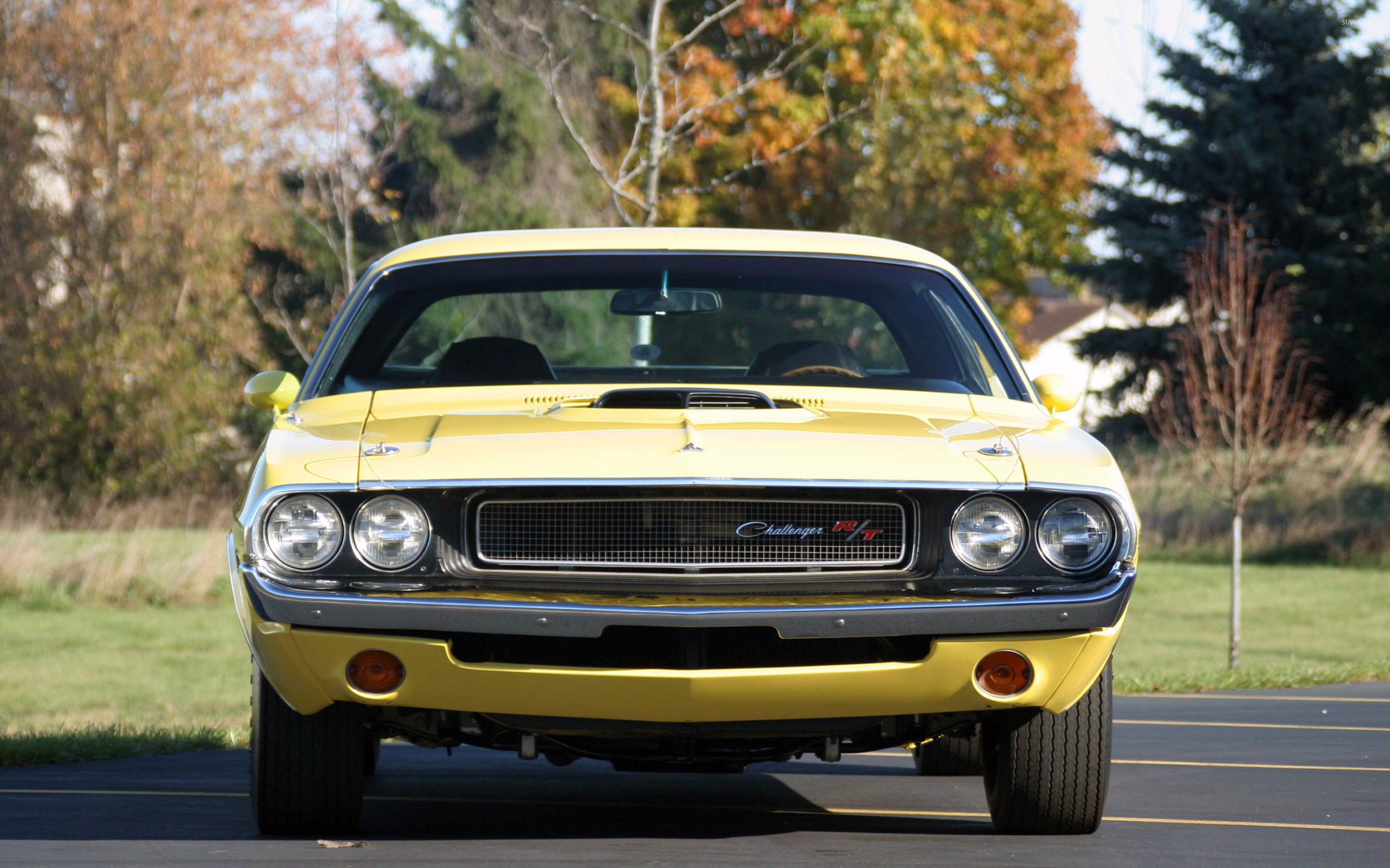 1970, Dodge, Hemi, Challenger, Rt, Muscle, Classic, Old. Book Source for free download HD, 4K & high quality wallpaper