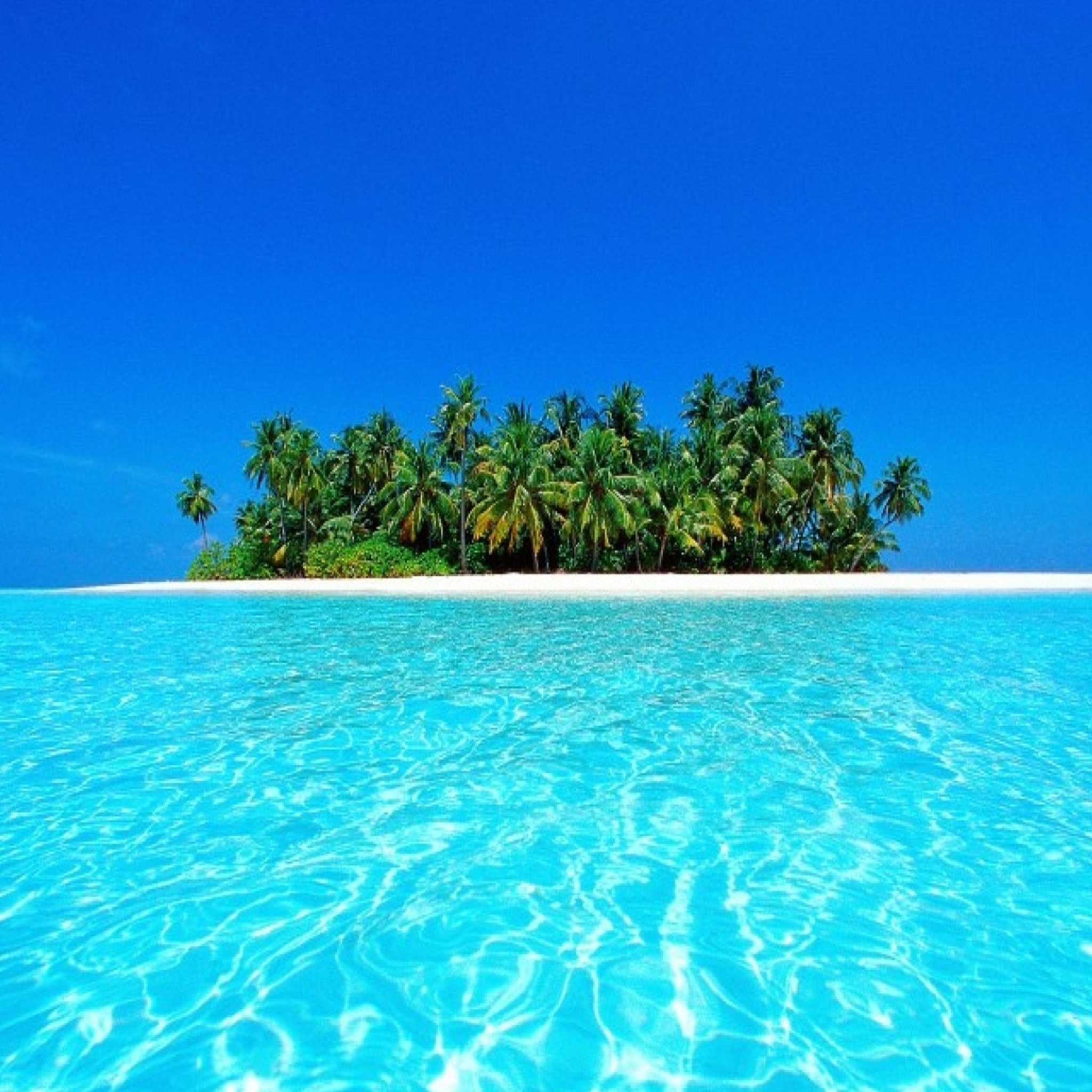 Cancun Mexico Island / Good