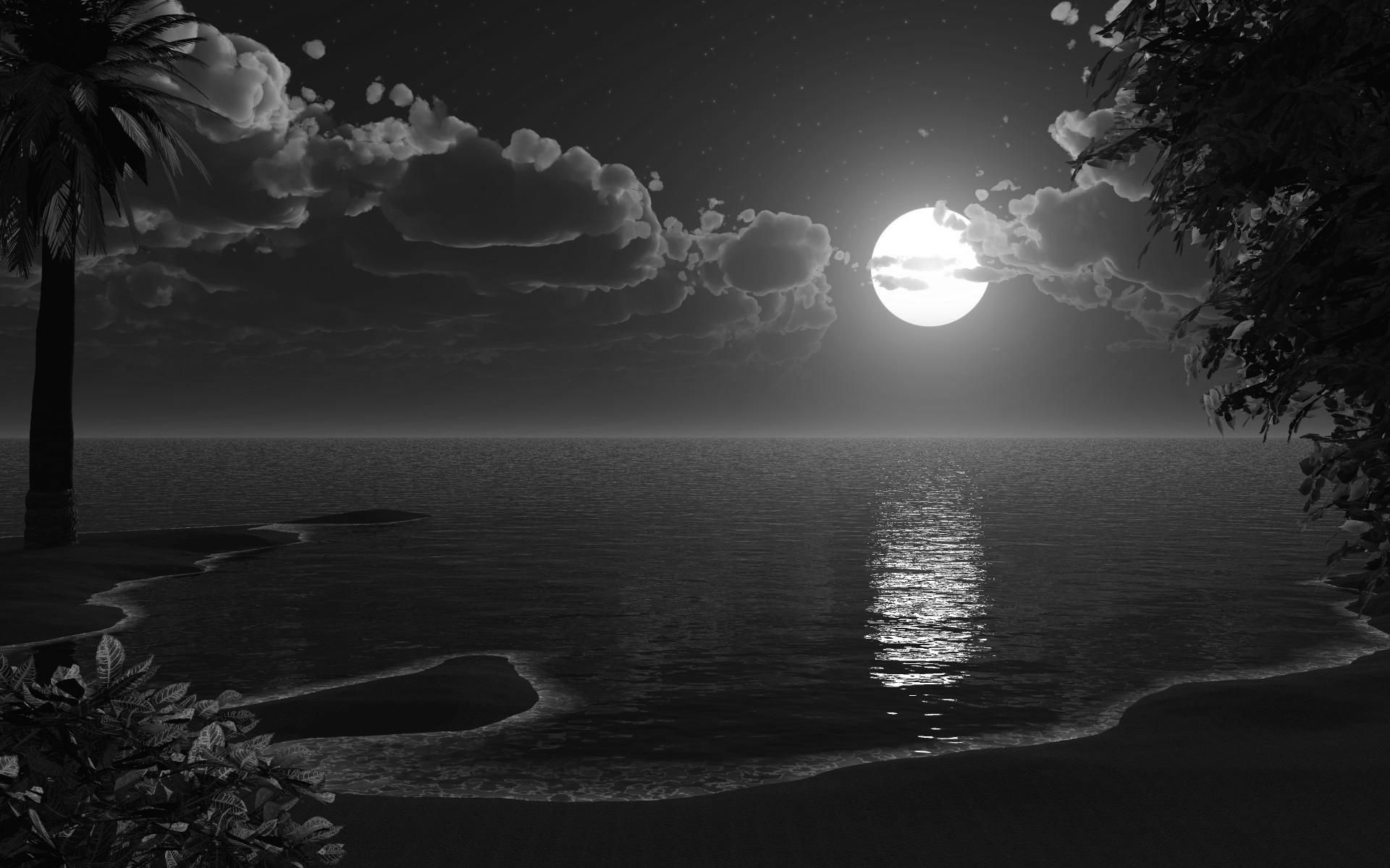 Black And White Moon Wallpapers - Wallpaper Cave