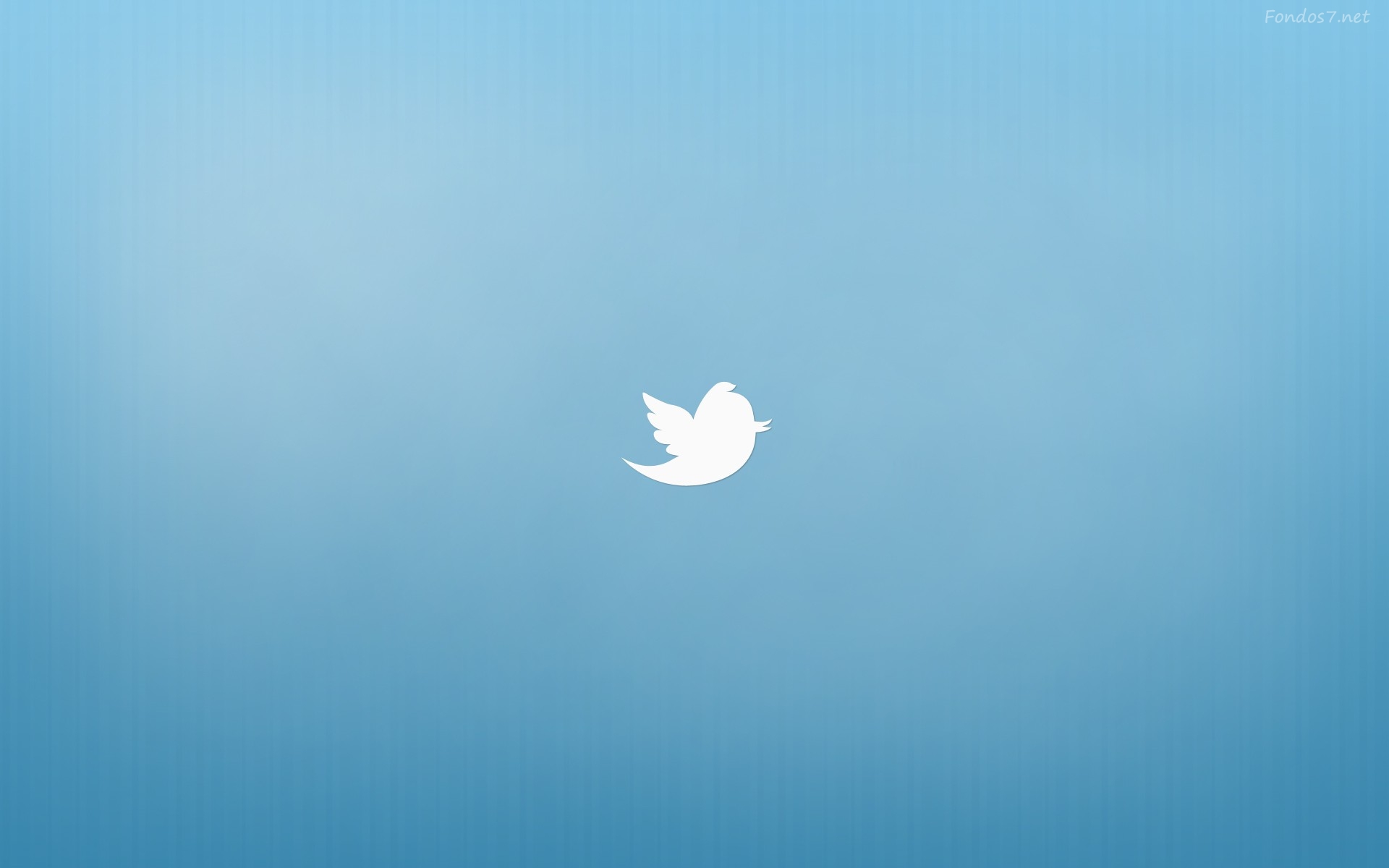 Twitter Icon Logo Wallpaper 67335 1920x1200px