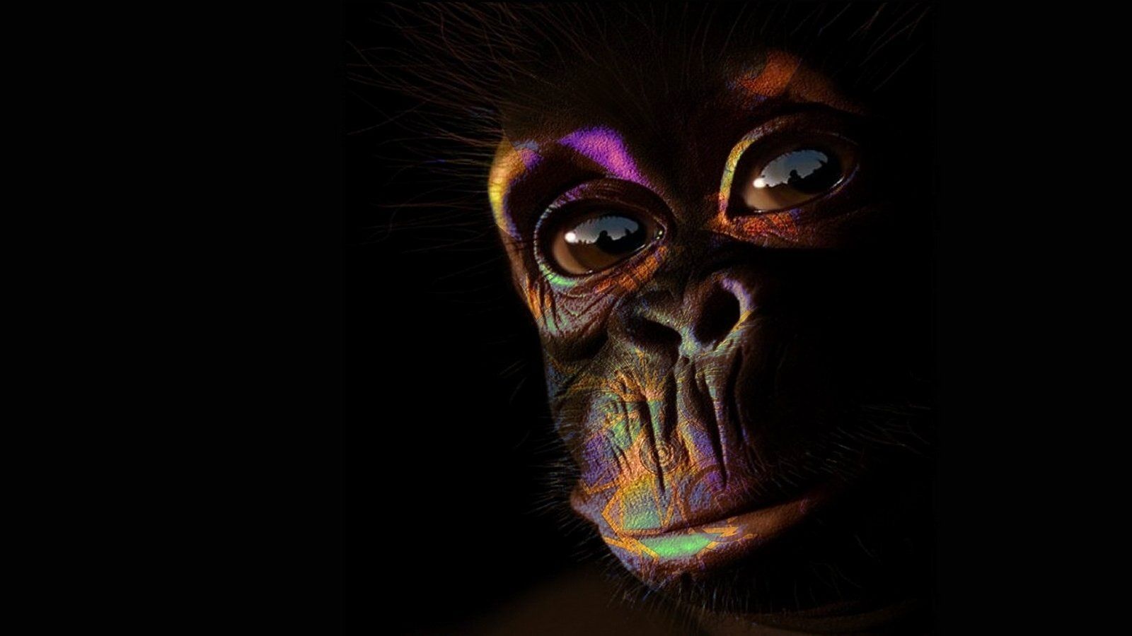 Monkey Art Wallpaper
