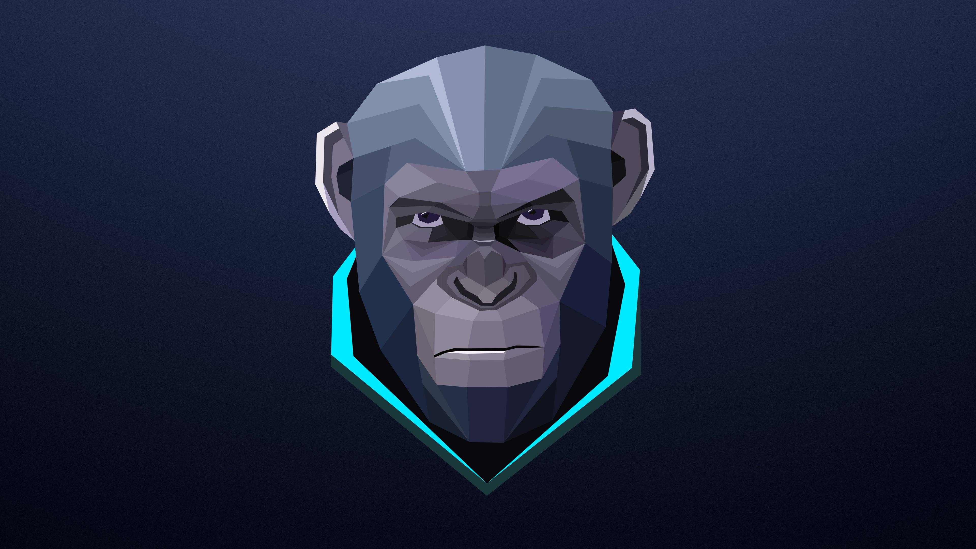 Wallpaper 4k Monkey Minimalism 4k Wallpaper