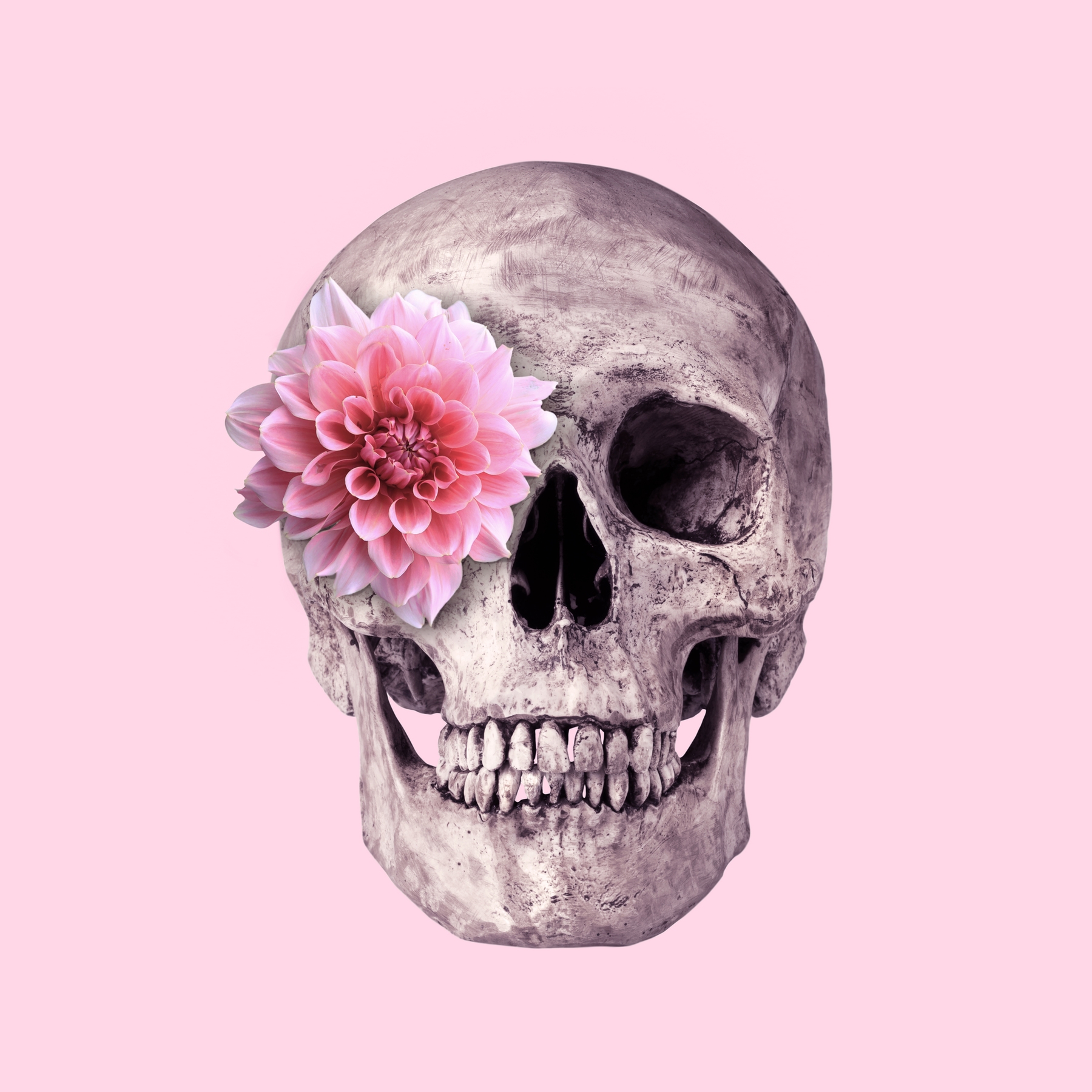 Buy FLOWER SKULL wallpaper