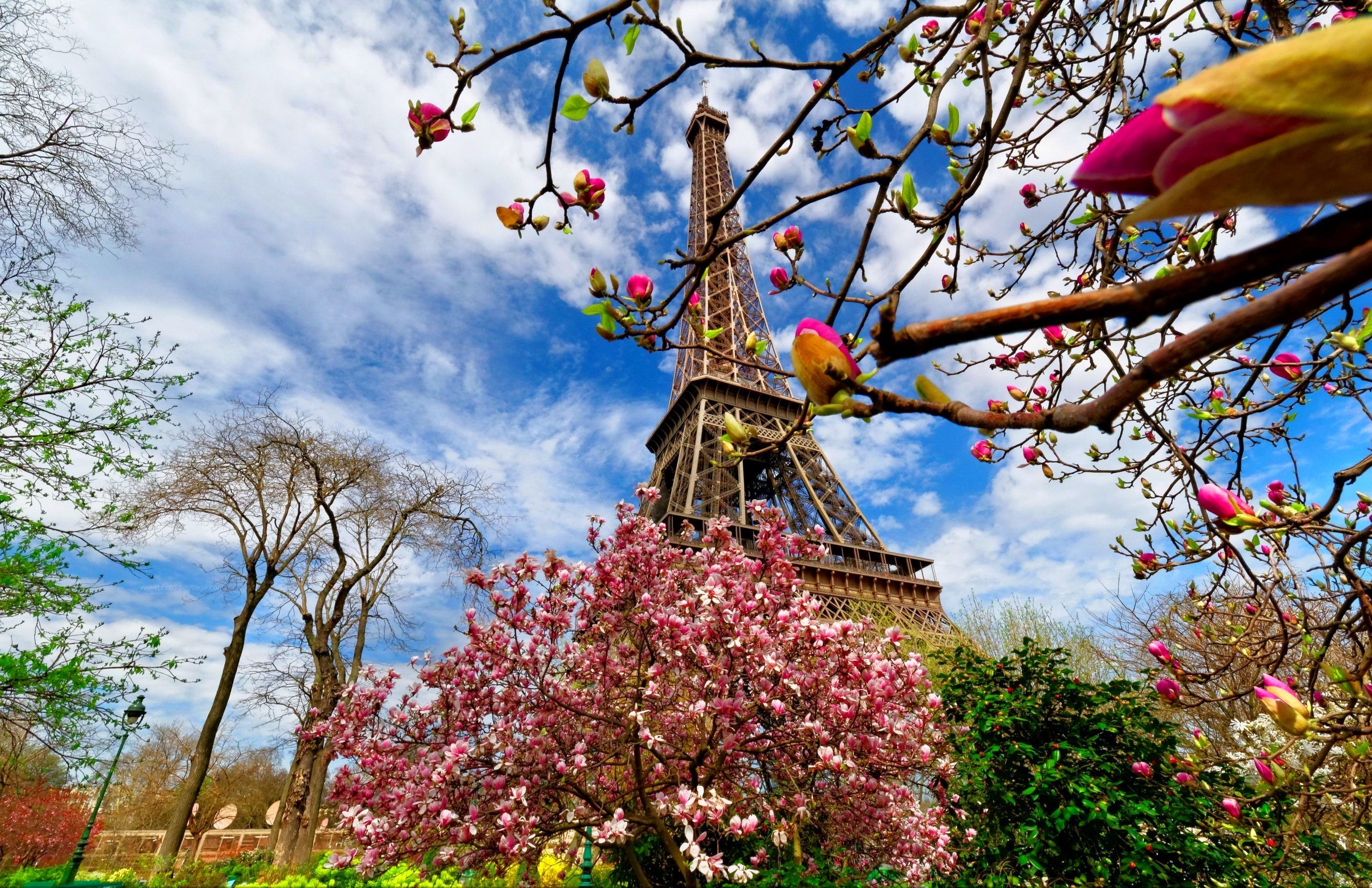 Paris in Spring Wallpaper