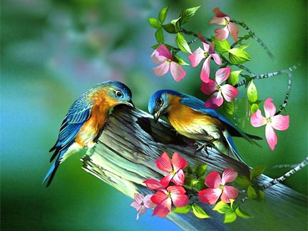Painting of Birds in Spring spring flowers birds art tree painting bloom. Spring wallpaper, Cross paintings, Birds painting