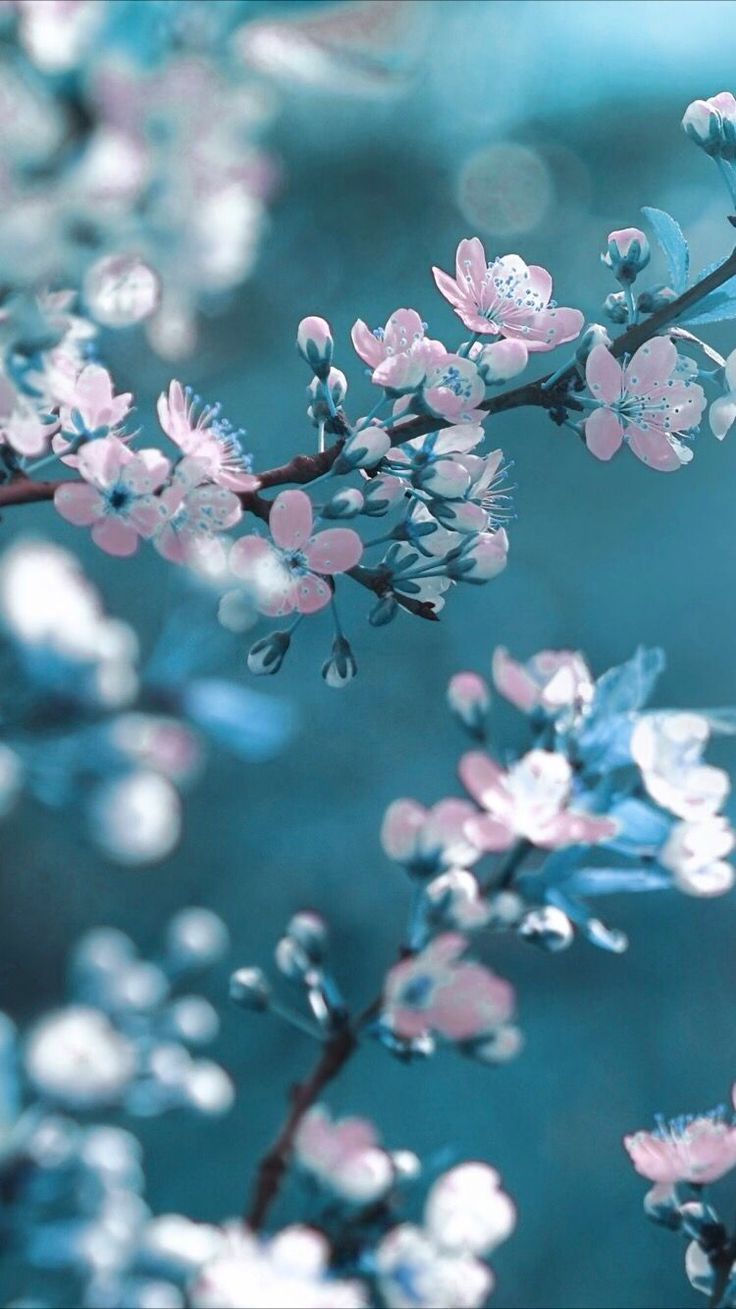 Dark #Floral iPhone wallpaper. Spring