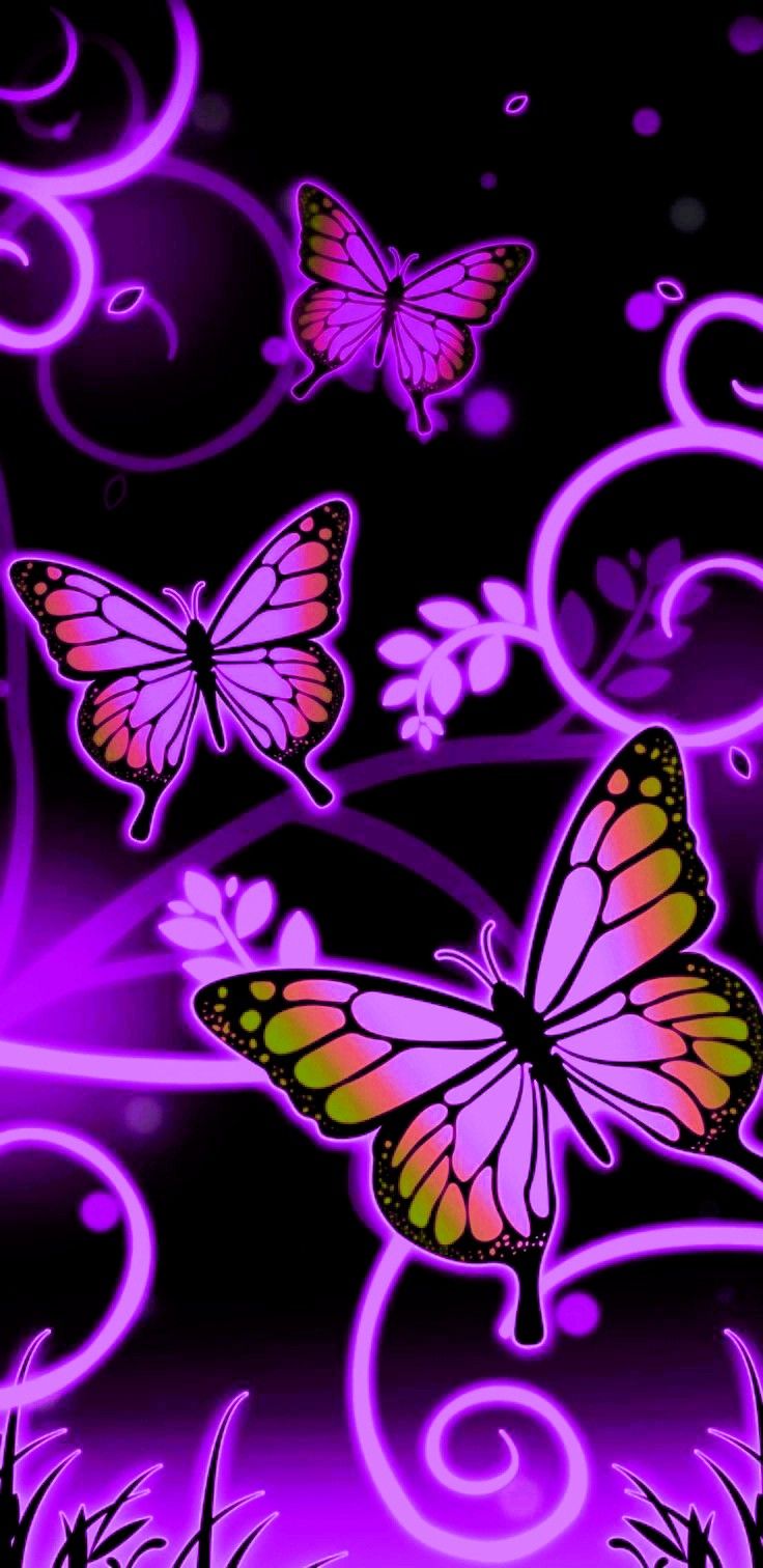 BUTTERFLIES. Butterfly wallpaper, Butterfly wallpaper background, Purple butterfly wallpaper