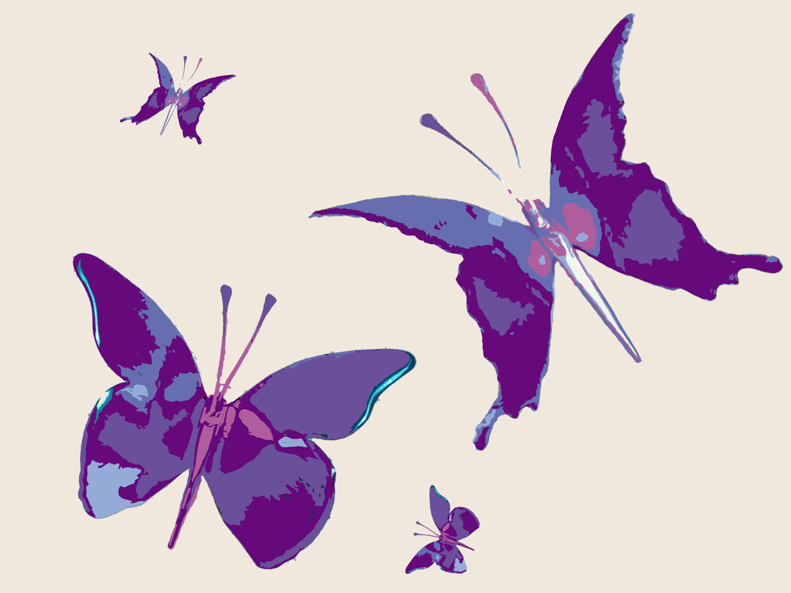 Free download Paris Purple Butterfly Purple Background Wallpaper Purple [1600x1200] for your Desktop, Mobile & Tablet. Explore Purple Butterfly Wallpaper. Free Desktop Wallpaper Butterflies Flowers, Beautiful Butterfly Wallpaper for