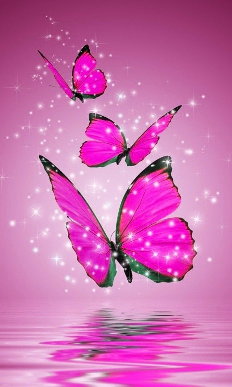 Black and Purple Butterflies Wallpaper