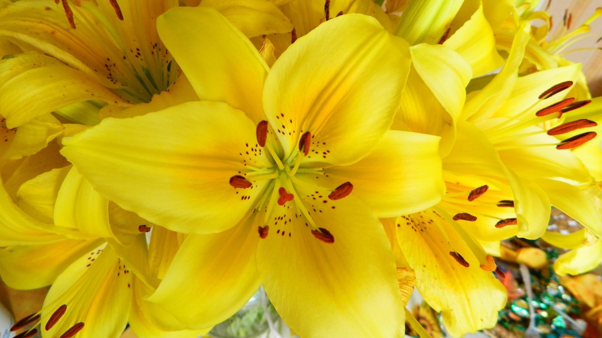 Yellow Lilies HD Wallpaper