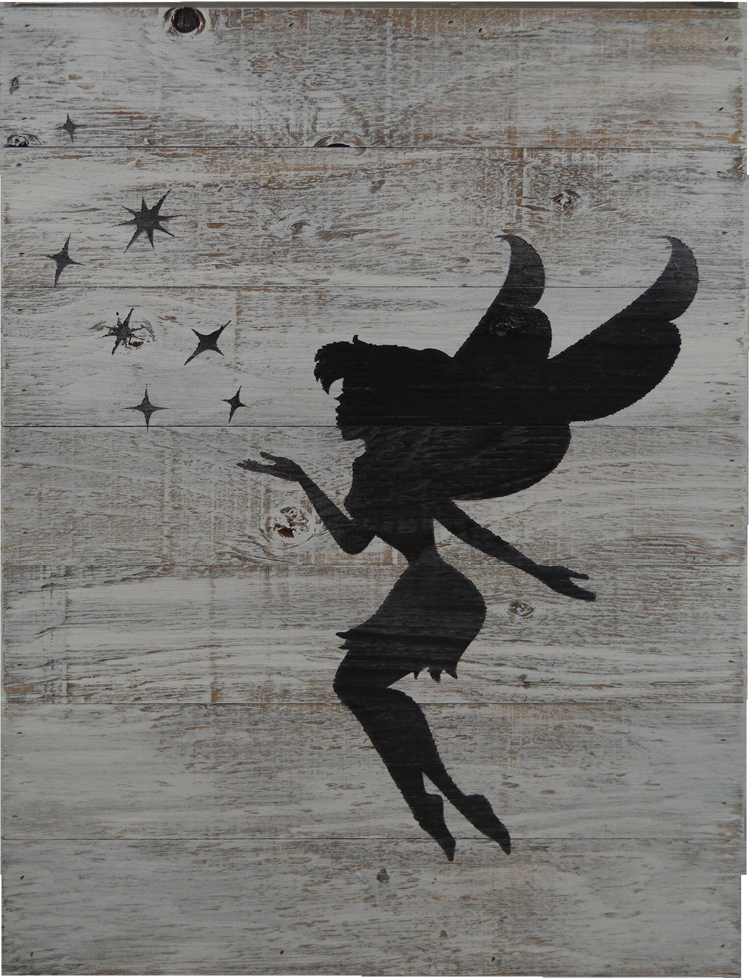 Harriet Bee 'Fairy Dust' Graphic Art Print on Wood