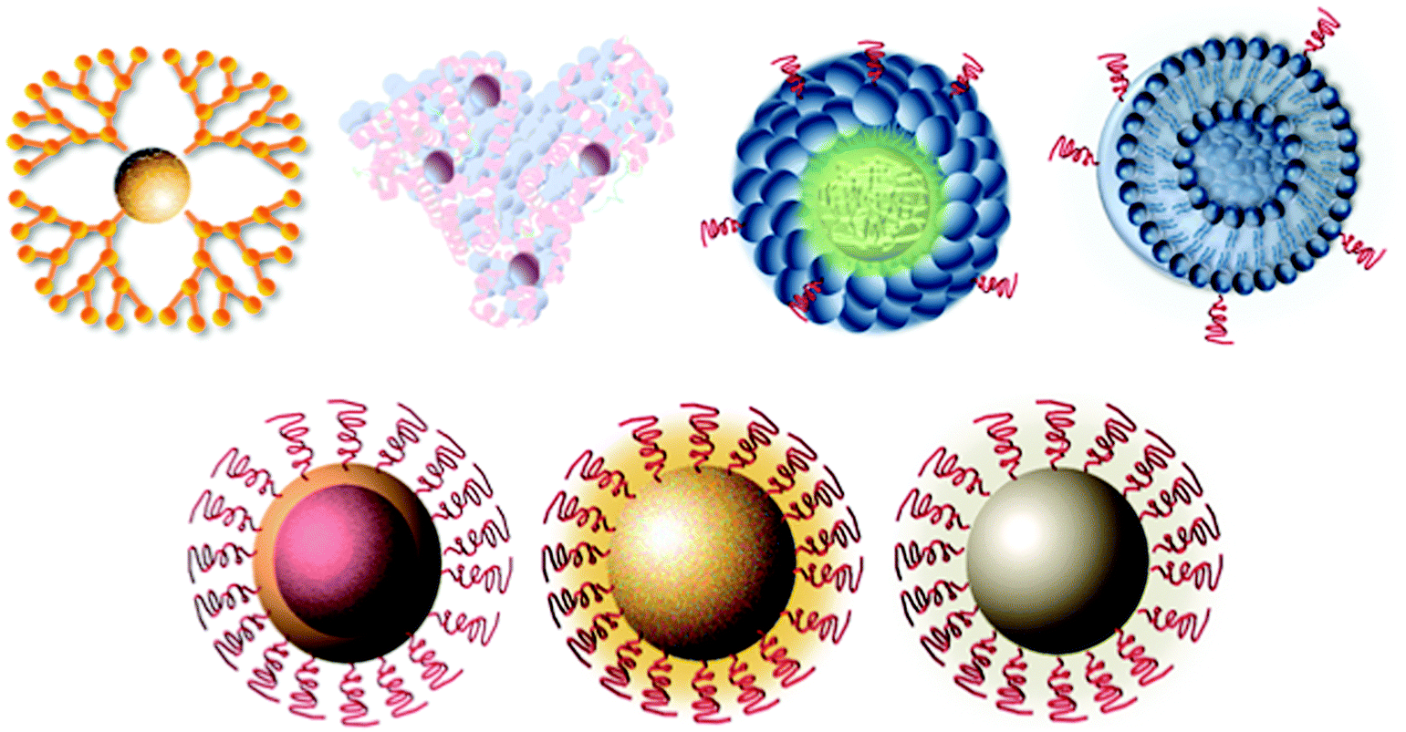 Nanoparticles And Their Applications In Cell And Molecular Biology Biology (RSC Publishing) DOI:10.1039 C3IB40165K