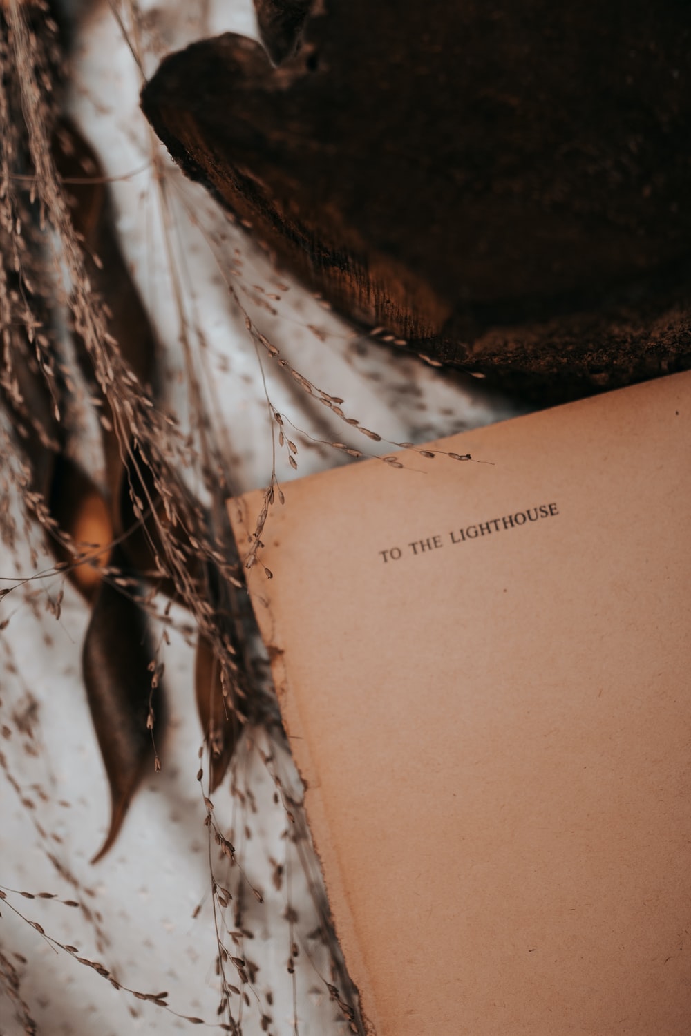 Brown Aesthetic Picture. Download Free Image