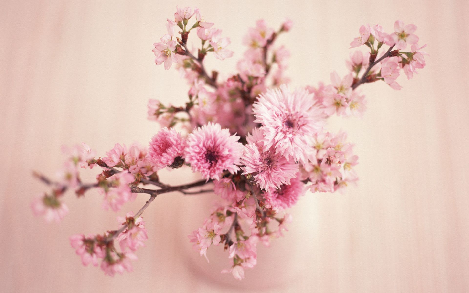 Vintage Flower Desktop Wallpaper