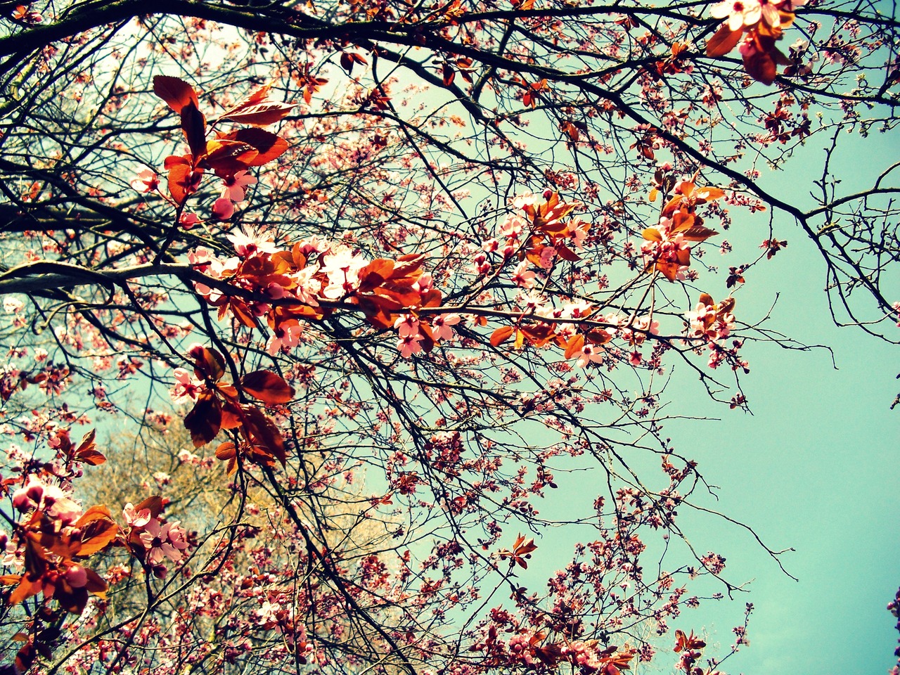 Vintage Spring Quotes. QuotesGram