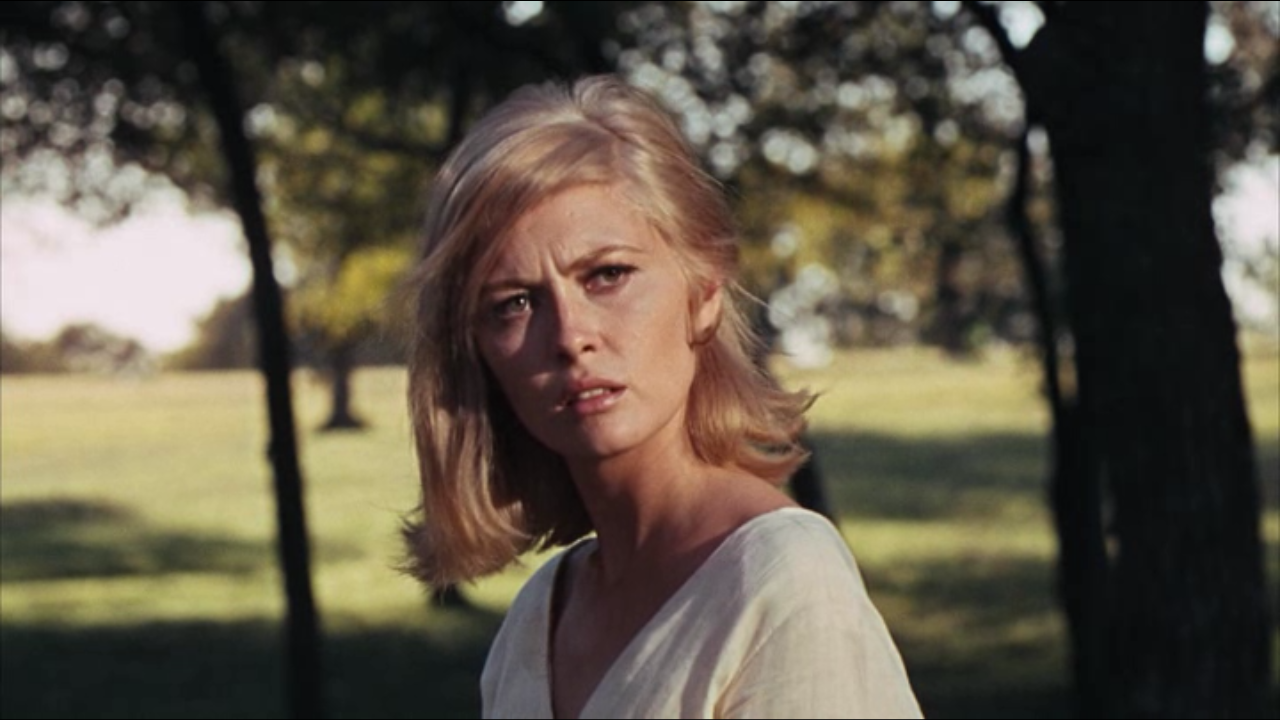 Faye Dunaway Wallpaper