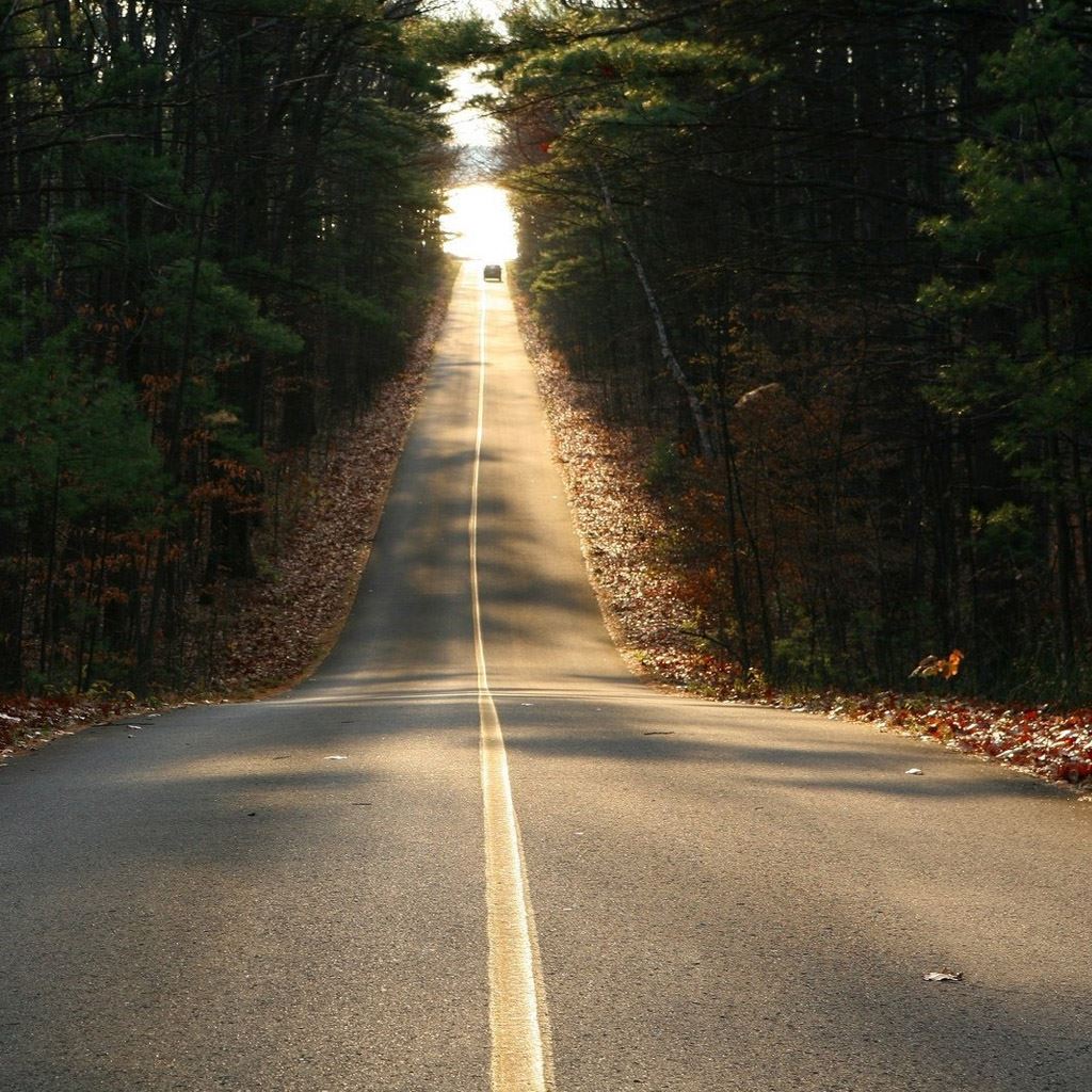 Road to the Beach iPad Wallpaper Free Download