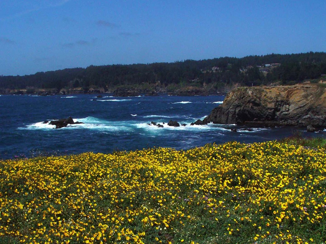 Northern California Coast Wallpaper