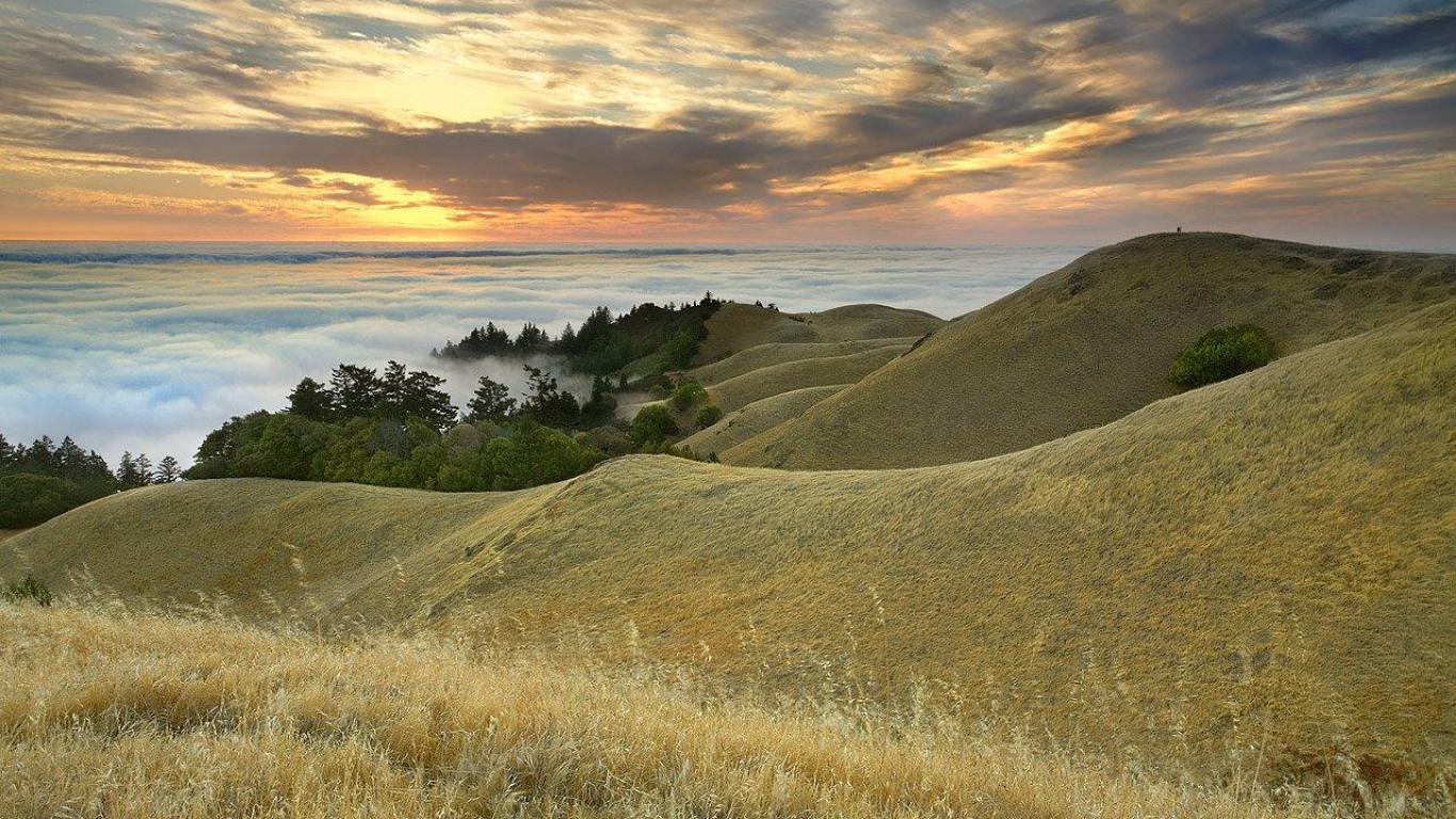 Northern Cali Wallpaper