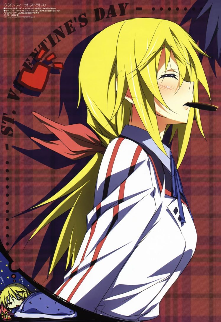 anime, Anime girls, Dunois Charlotte, Infinite Stratos Wallpaper HD / Desktop and Mobile Background