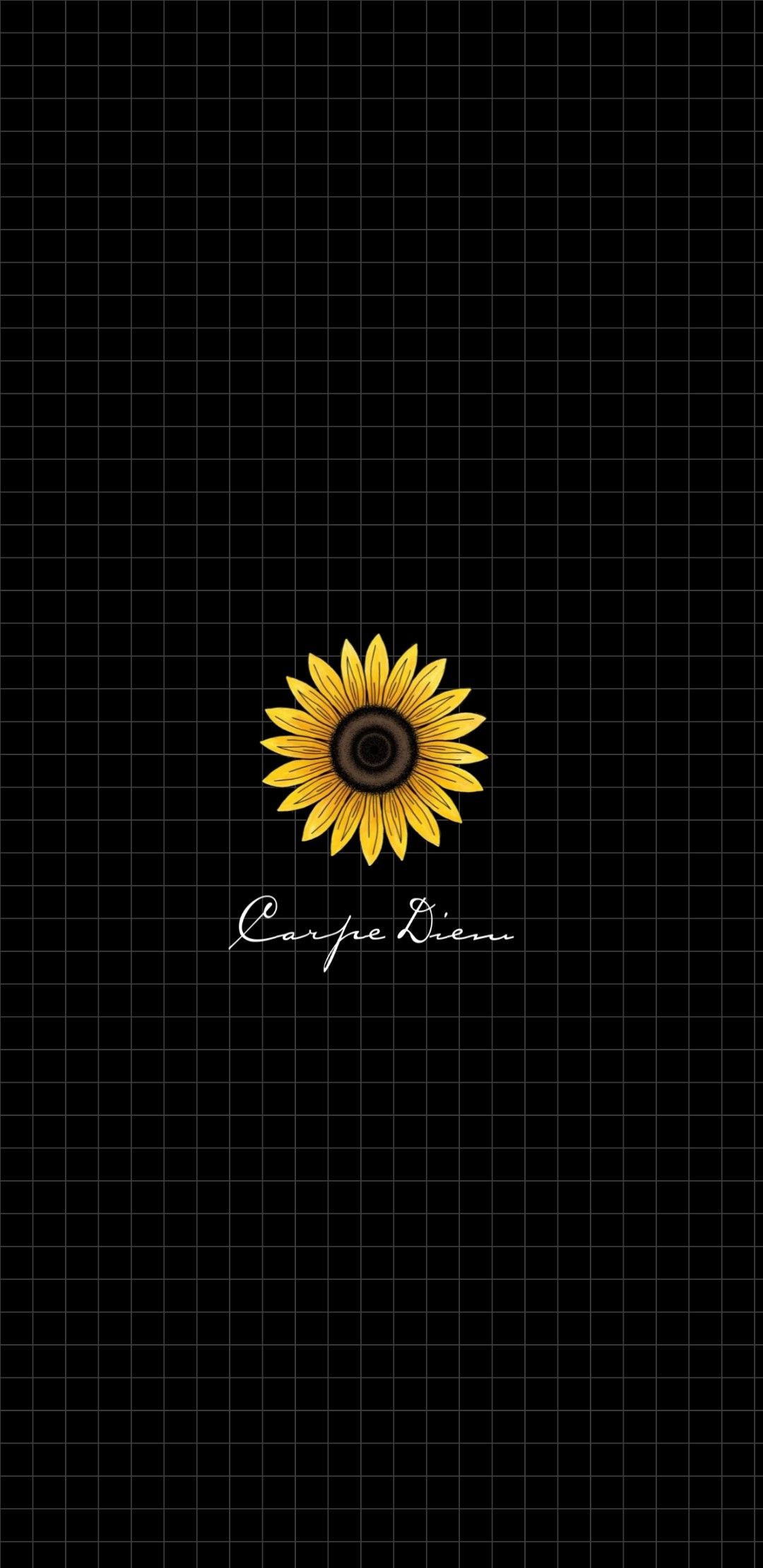 Carpe Diem. Sunflower wallpaper, Aesthetic pastel wallpaper, Apple watch wallpaper
