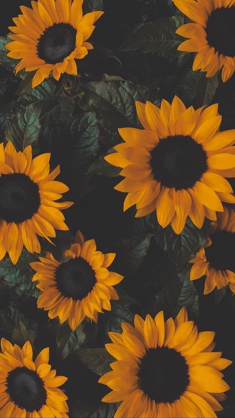 Wallpaper 4 my phone. wallpaper, iphone wallpaper, cute wallpaper