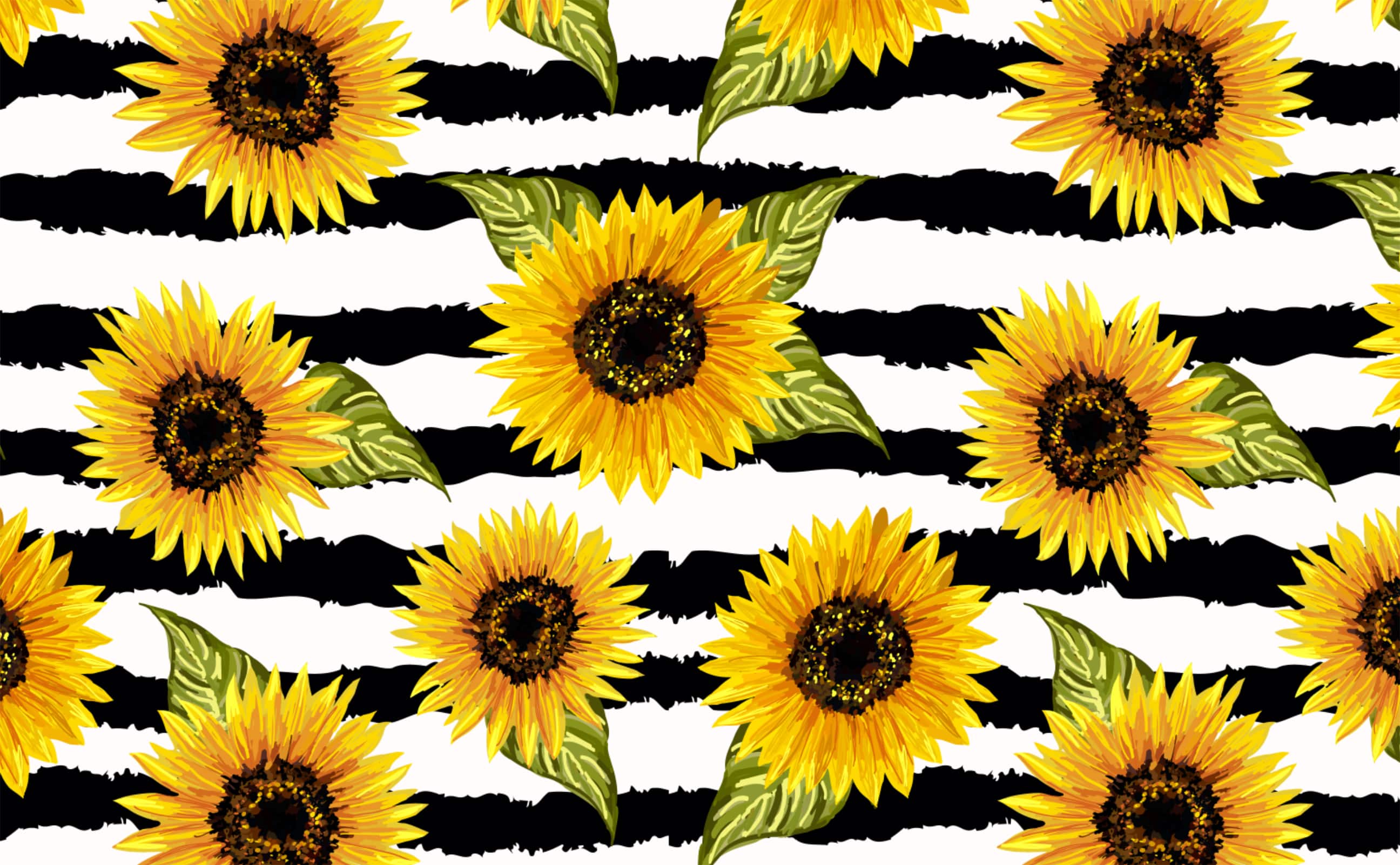 Vibrant sunflower on black white contrast background Wallpaper for Walls