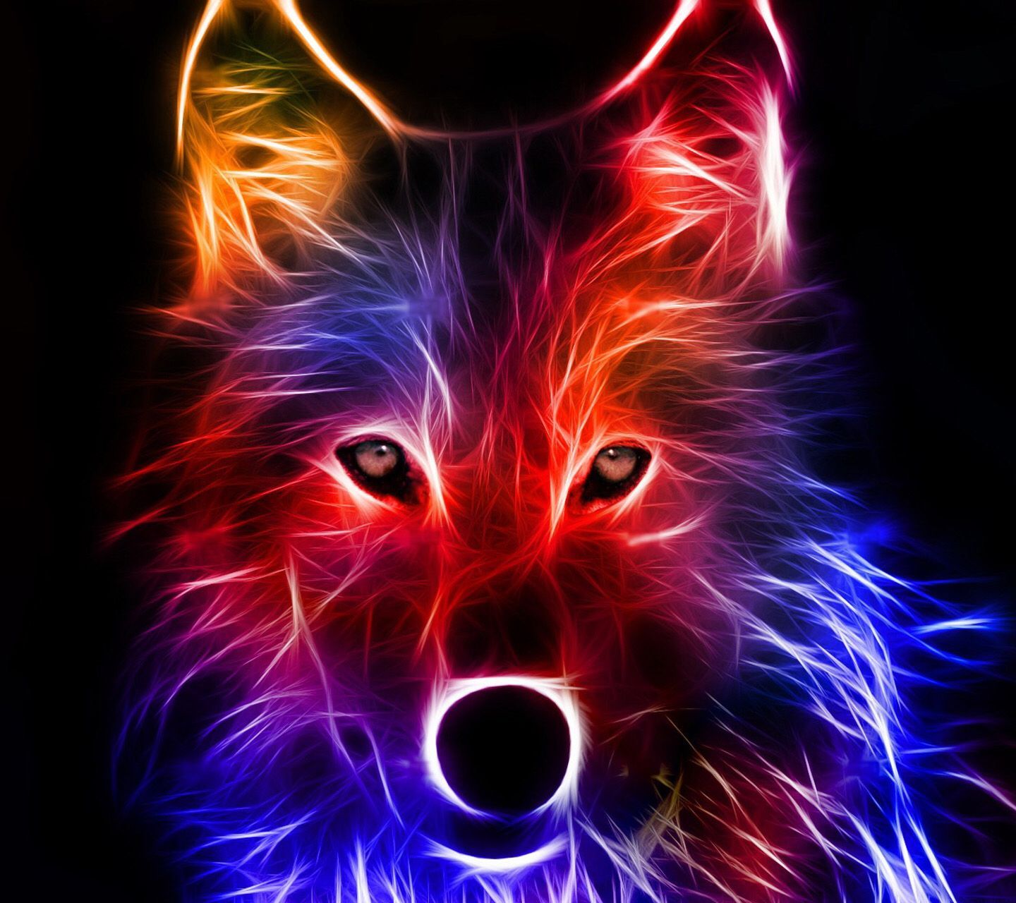 Rainbow Wolf Wallpaper