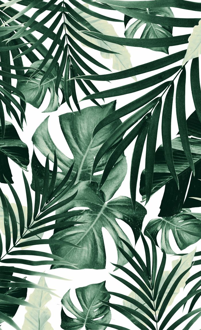 Tropical Jungle Leaves Pattern #tropical #decor #art #society6 Window Curtains. Leaves wallpaper iphone, Plant wallpaper, Tropical wallpaper