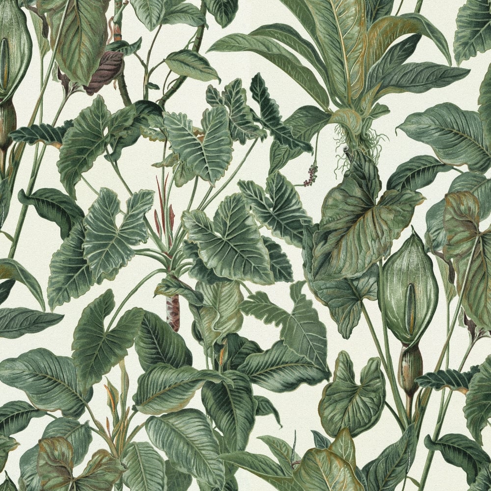 Erismann Paradiso Tropical Leaves Pattern Wallpaper Jungle Leaf Forest Textured 6303 07 White. I Want Wallpaper
