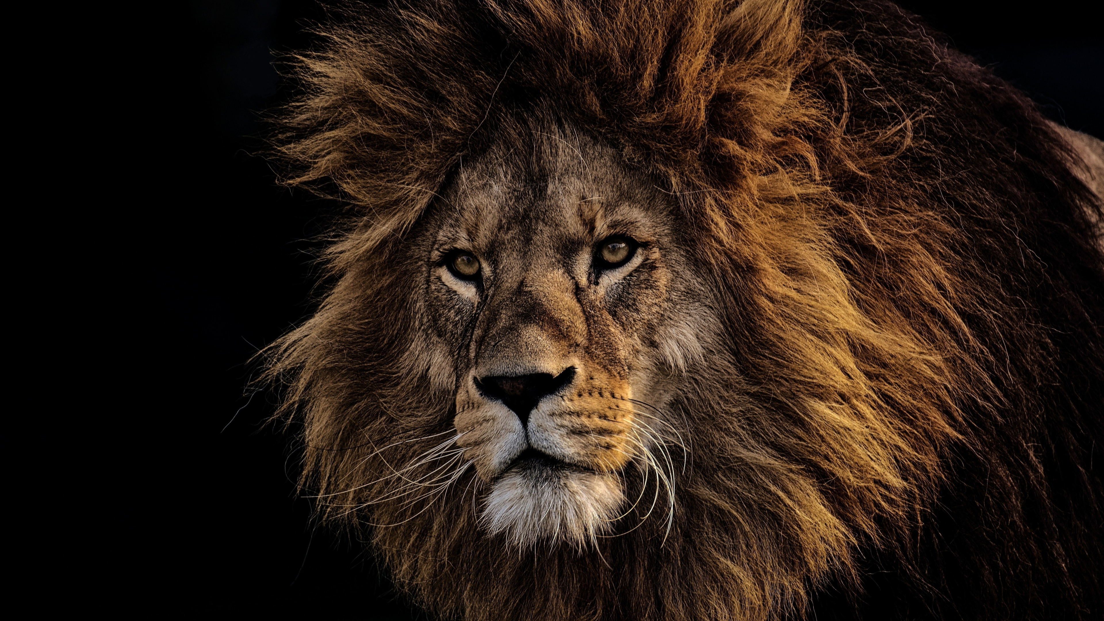 Download wallpaper 3840x2160 mighty