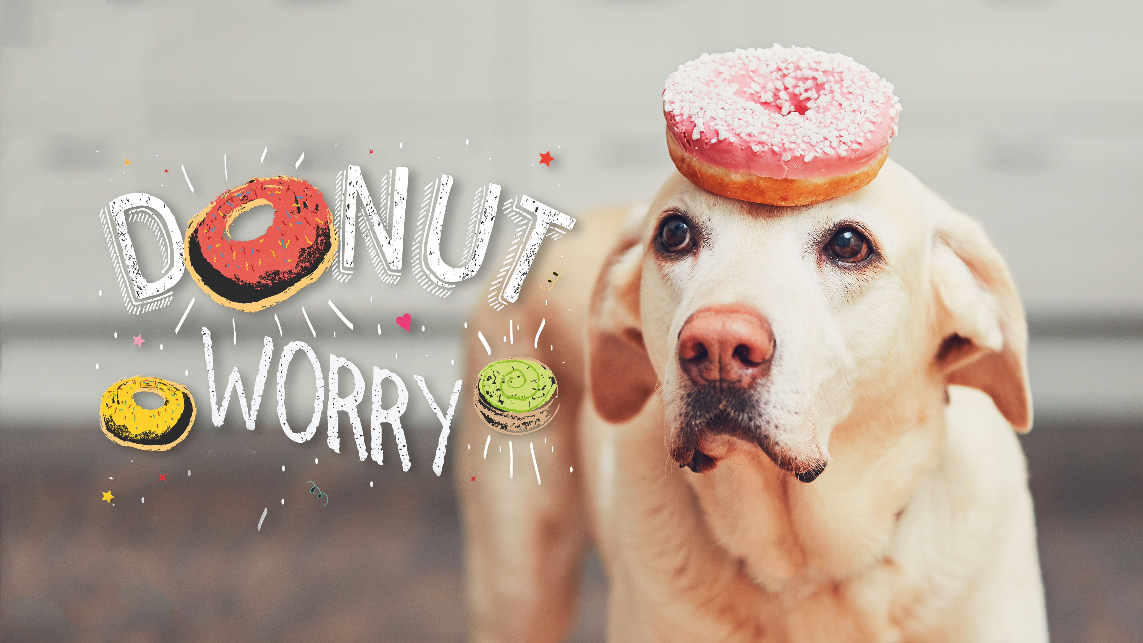 Donut Worry Desktop Background Size 3840 X 2160 Donut Wallpaper For Chromebook