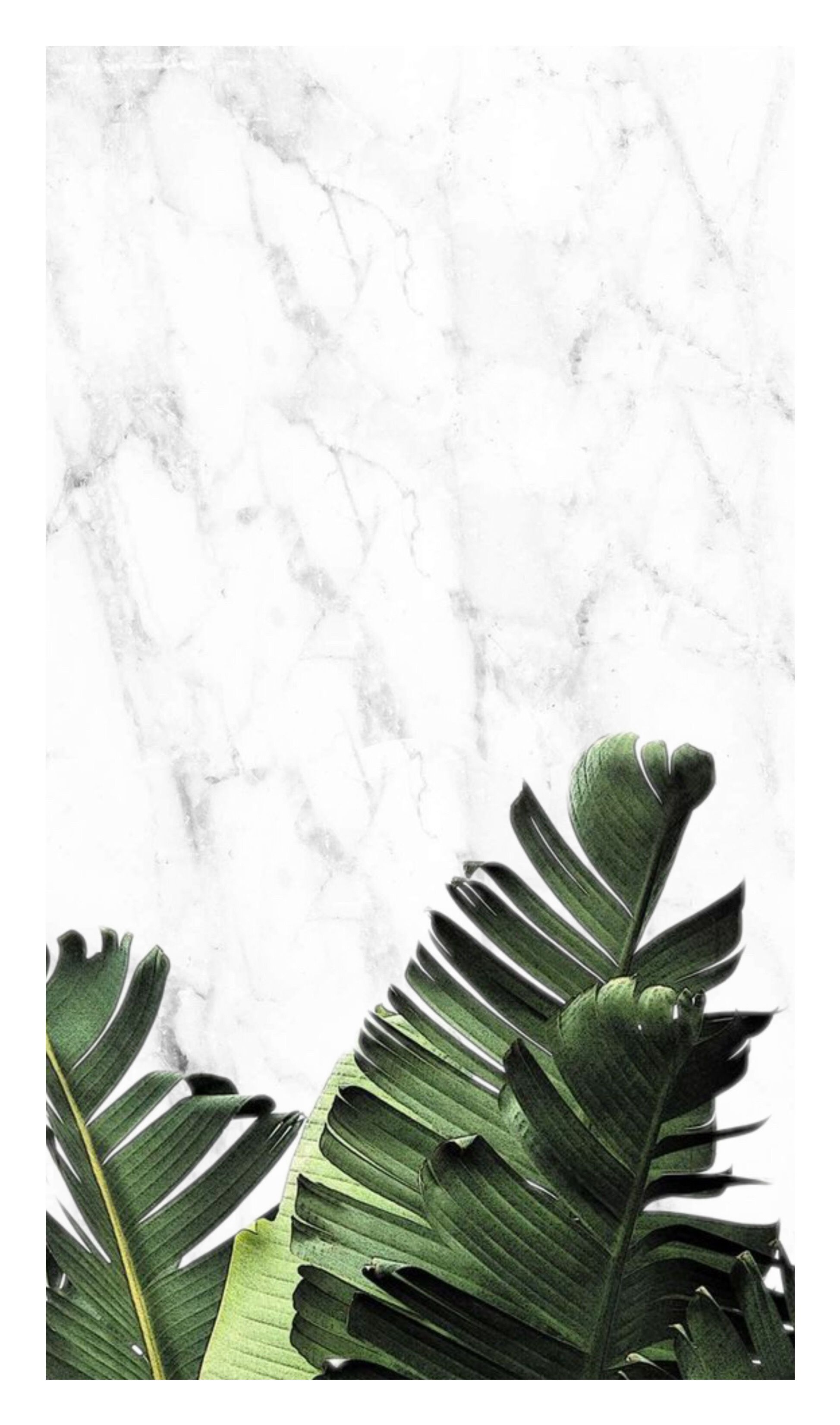 Marble With Plant Wallpaper